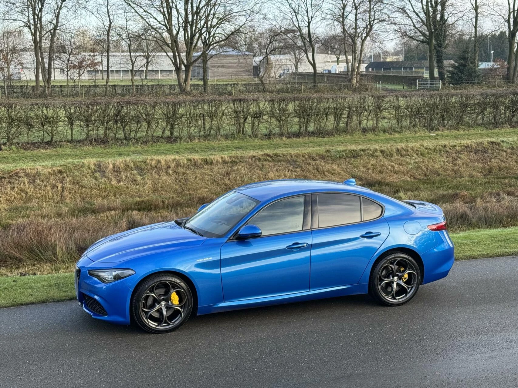 Hoofdafbeelding Alfa Romeo Giulia