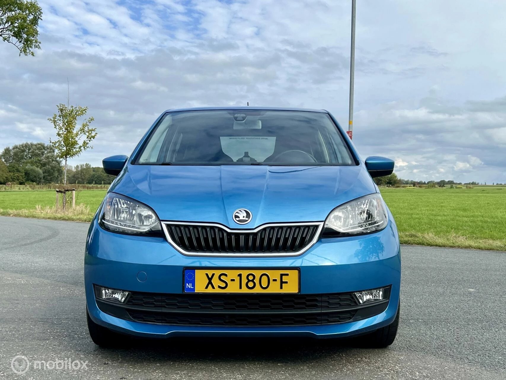 Hoofdafbeelding Škoda Citigo