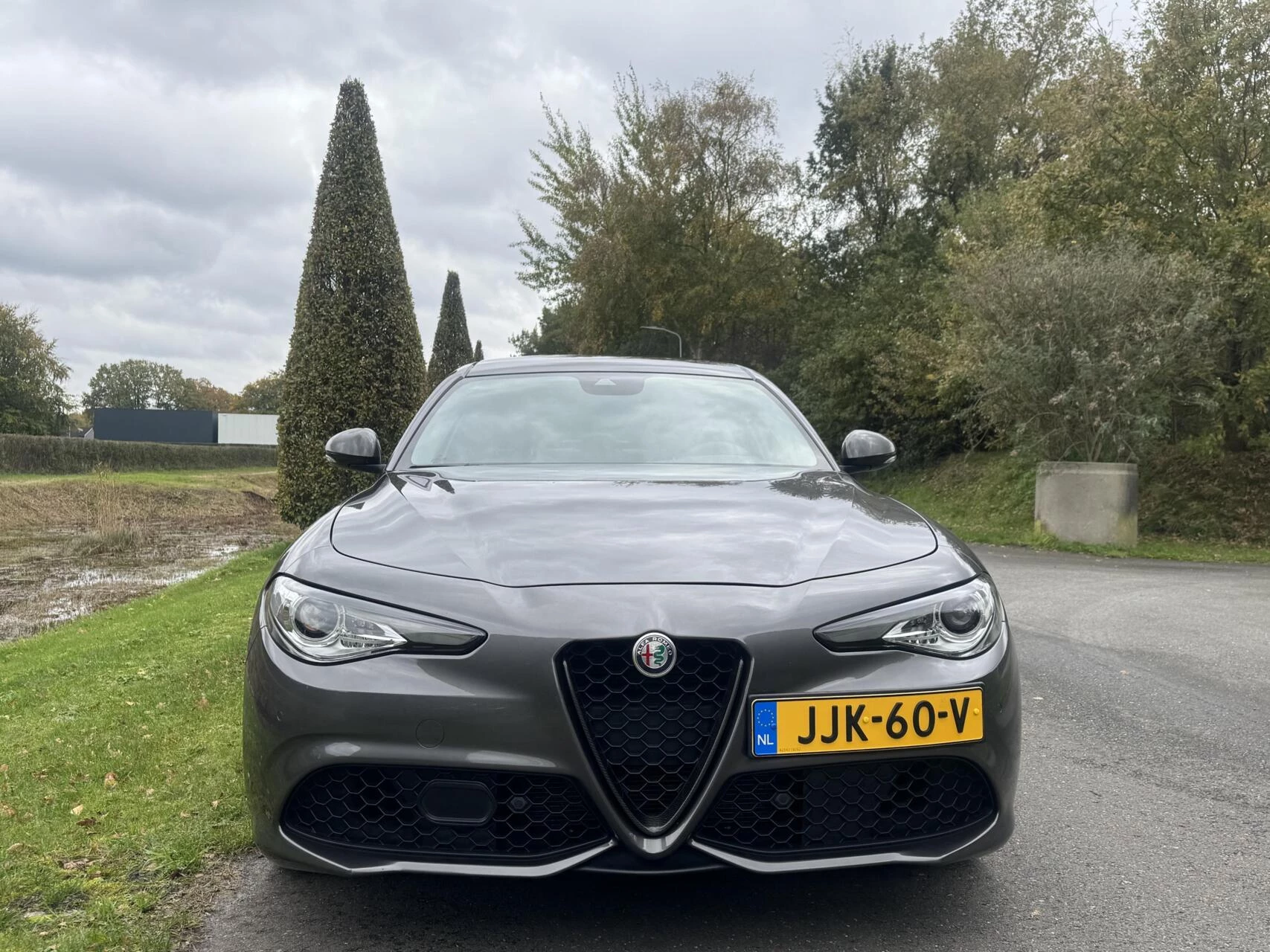 Hoofdafbeelding Alfa Romeo Giulia