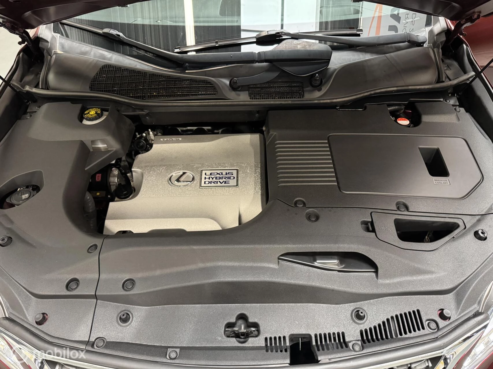 Hoofdafbeelding Lexus RX
