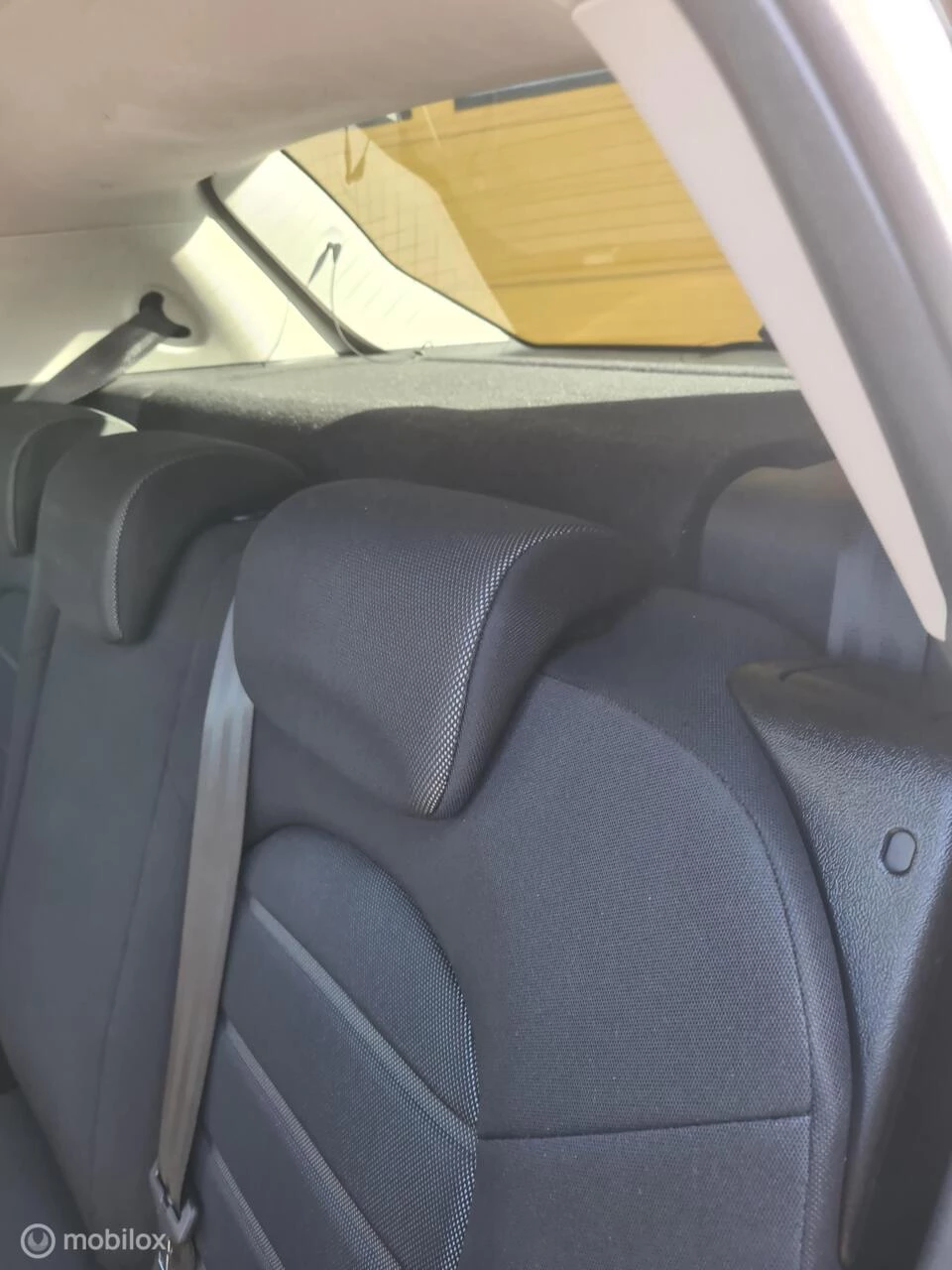 Hoofdafbeelding Fiat Bravo