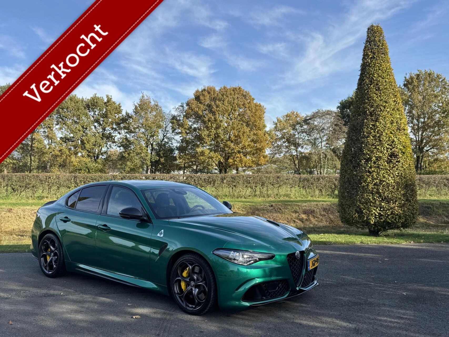 Hoofdafbeelding Alfa Romeo Giulia