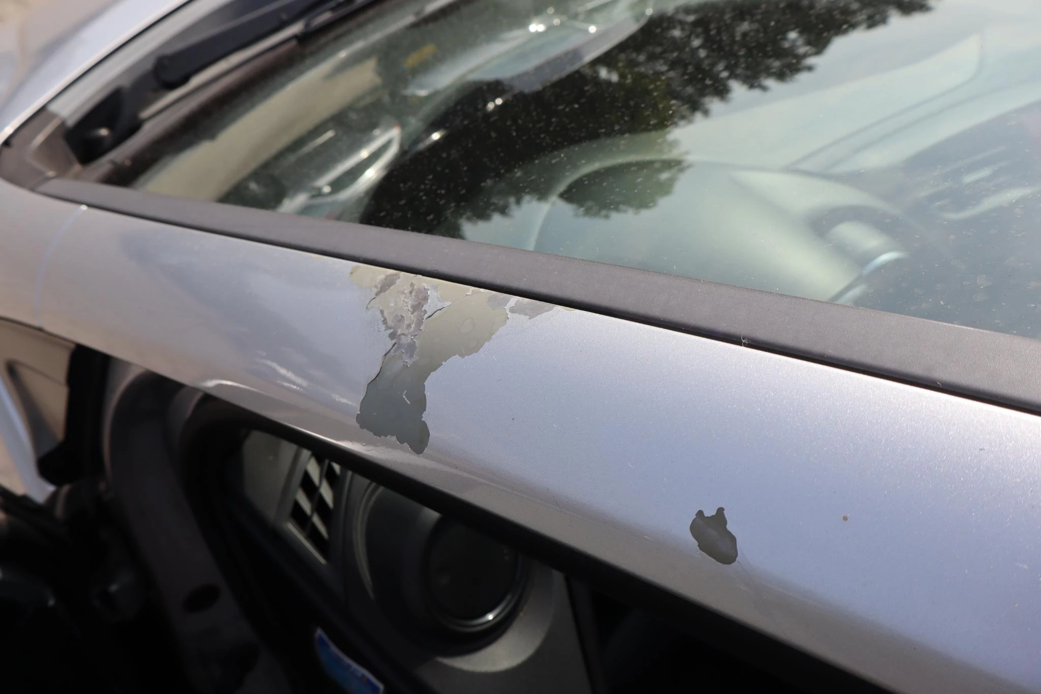 Hoofdafbeelding Honda Civic