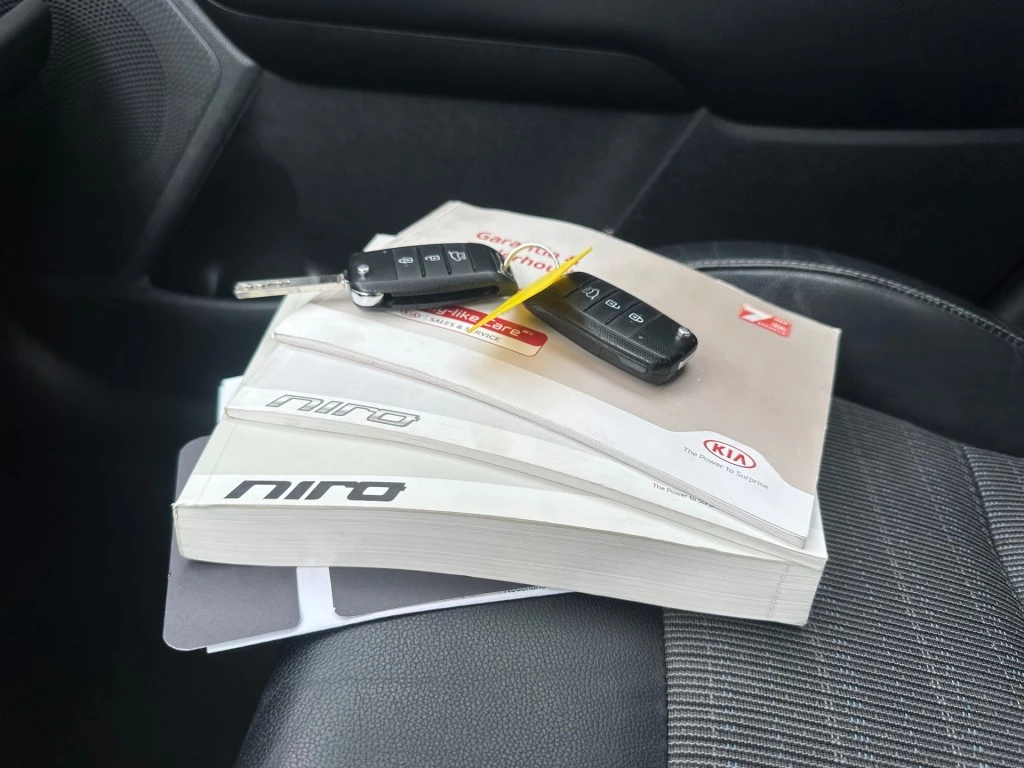 Hoofdafbeelding Kia Niro