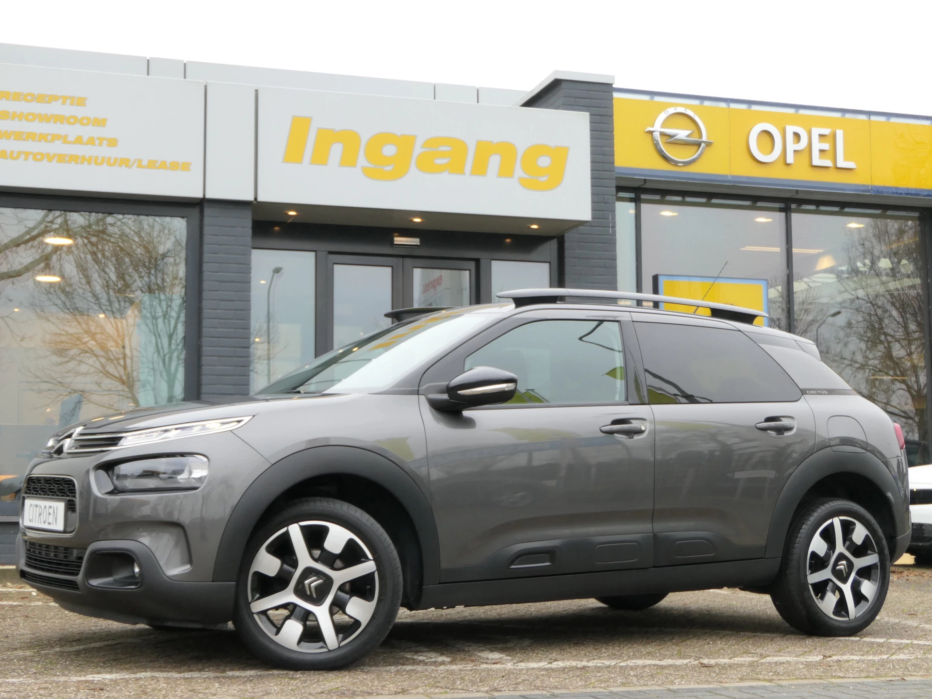 Hoofdafbeelding Citroën C4 Cactus