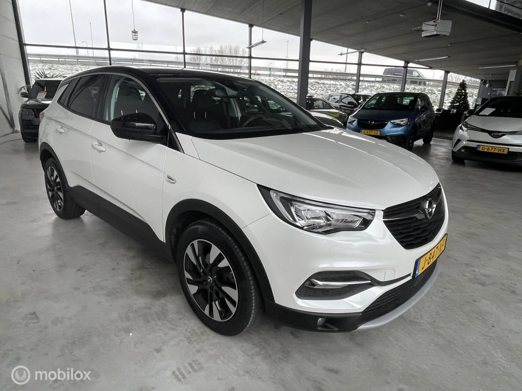 Hoofdafbeelding Opel Grandland X