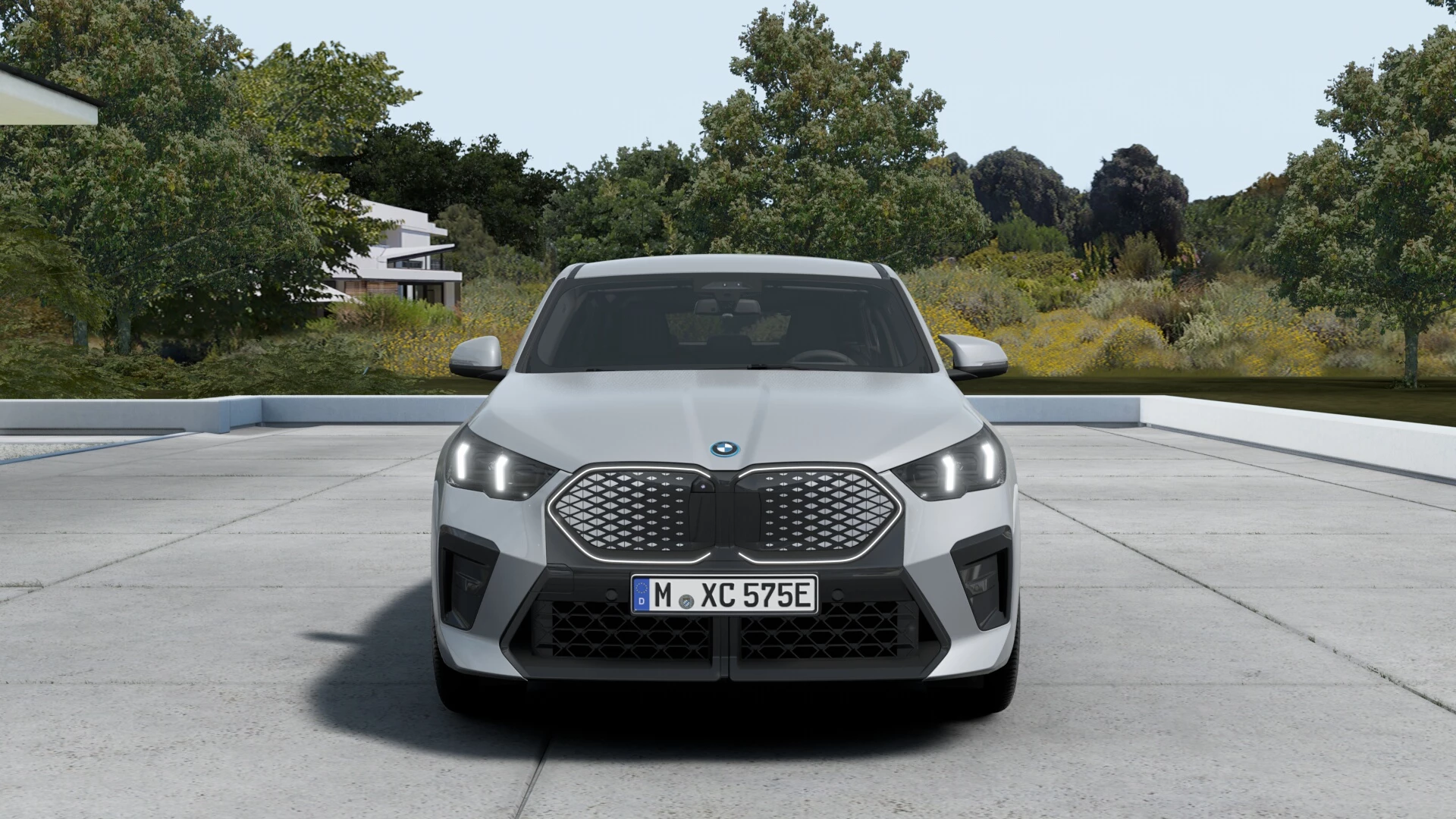Hoofdafbeelding BMW iX2