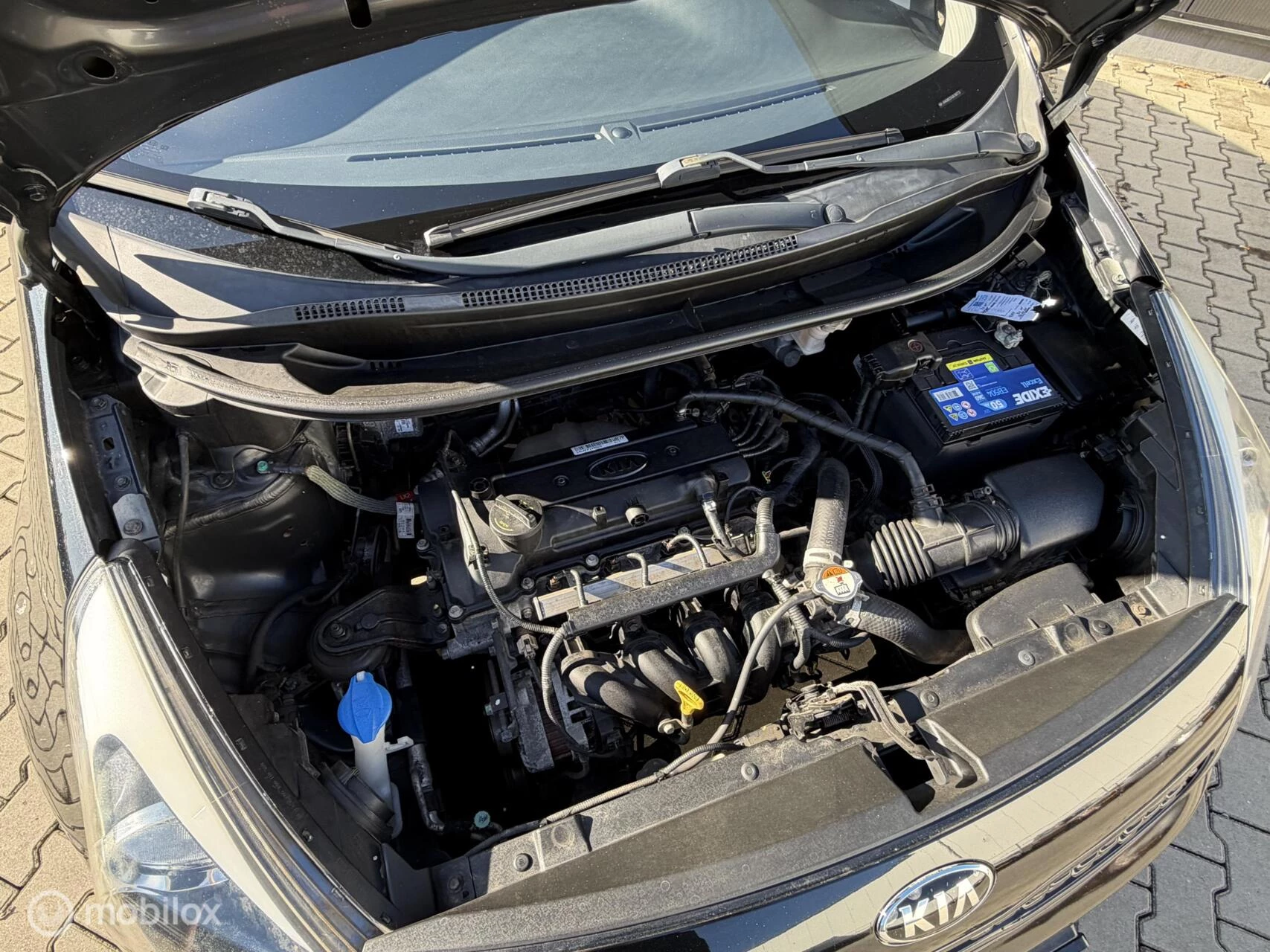 Hoofdafbeelding Kia Rio