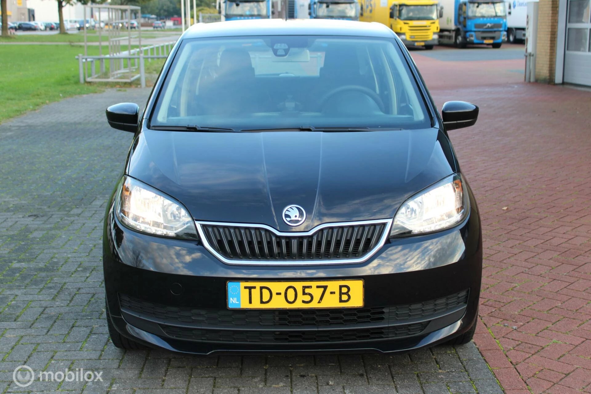 Hoofdafbeelding Škoda Citigo