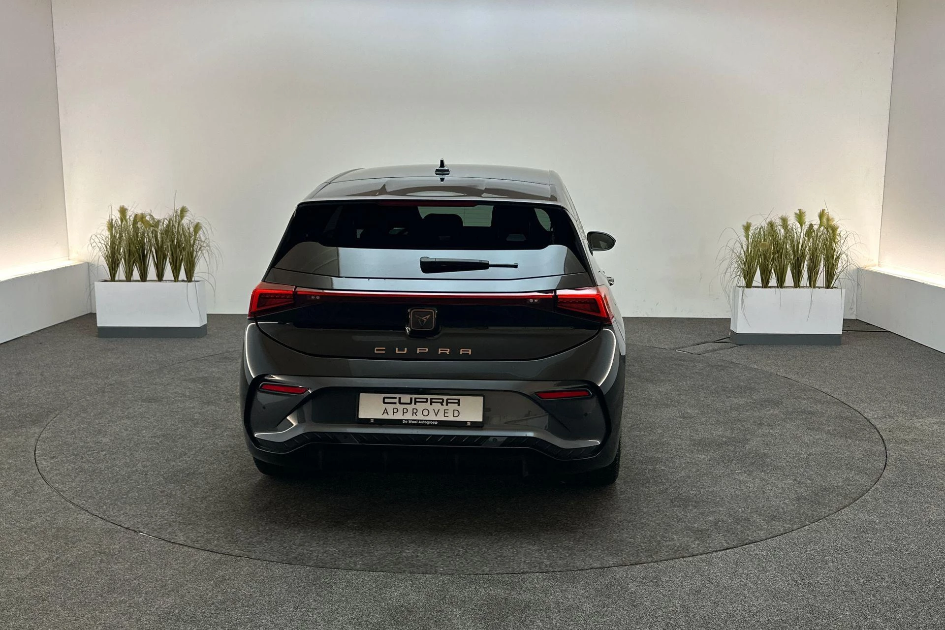 Hoofdafbeelding CUPRA Born