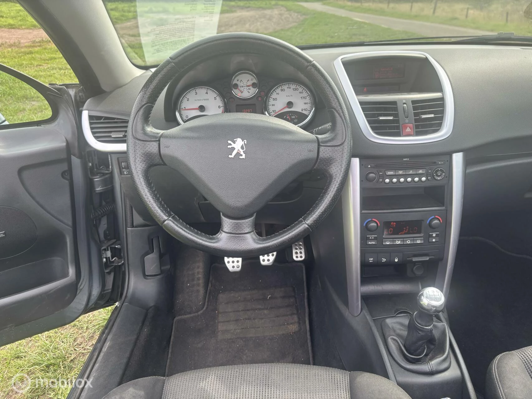 Hoofdafbeelding Peugeot 207