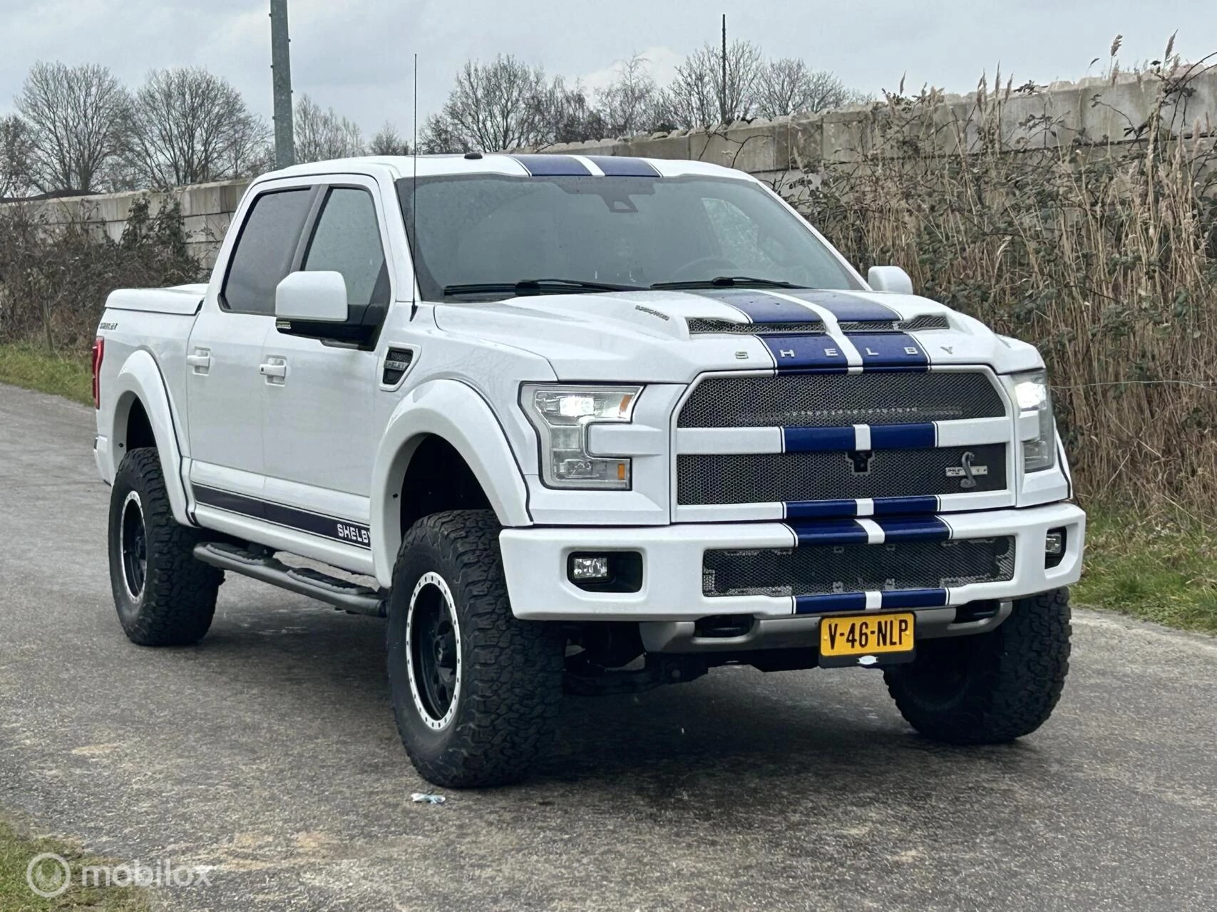 Hoofdafbeelding Ford F-150