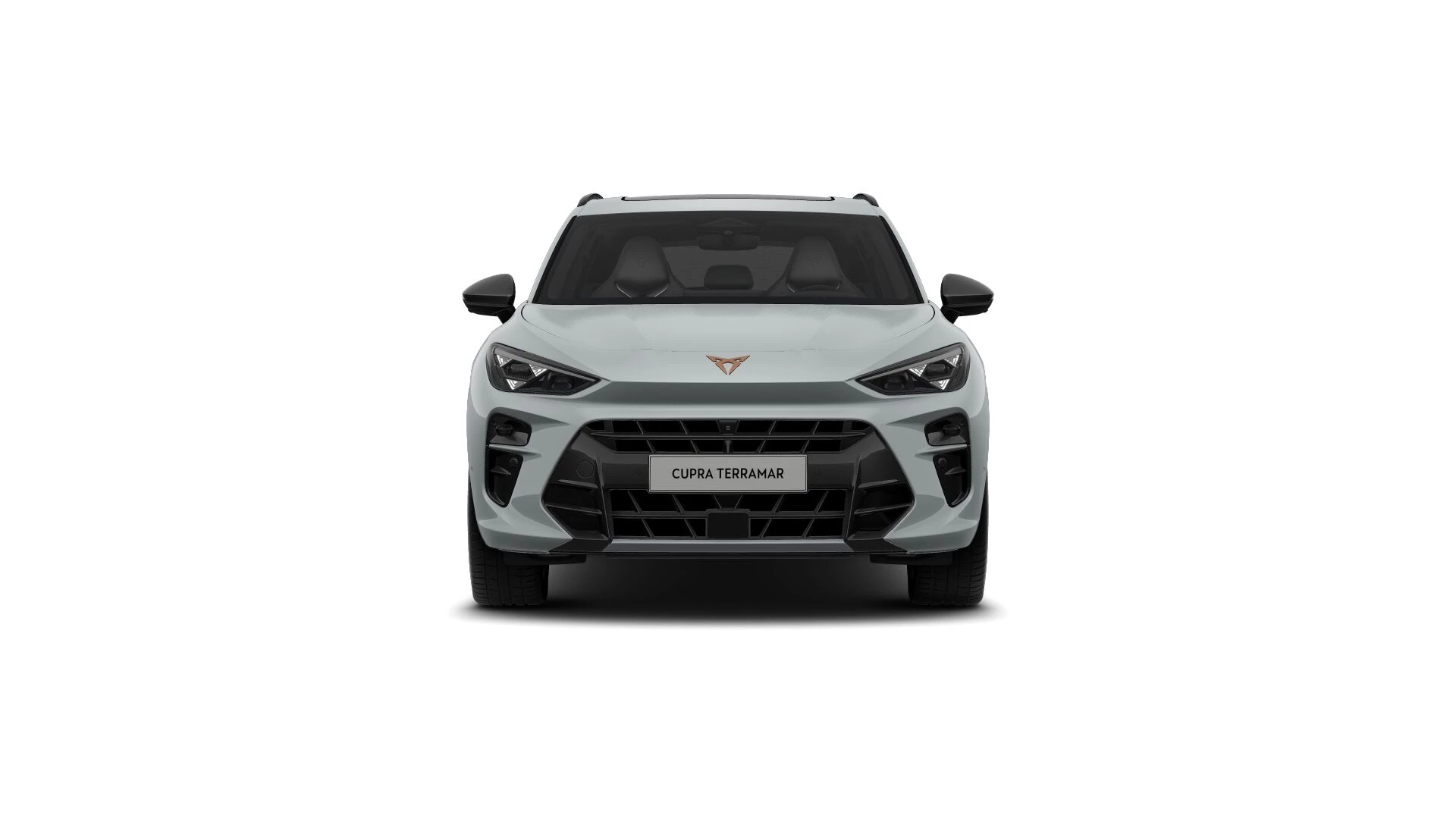 Hoofdafbeelding CUPRA Terramar