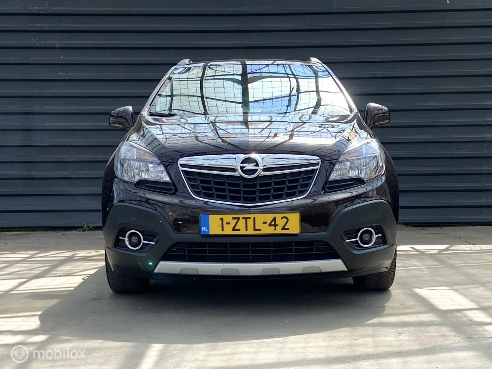 Hoofdafbeelding Opel Mokka