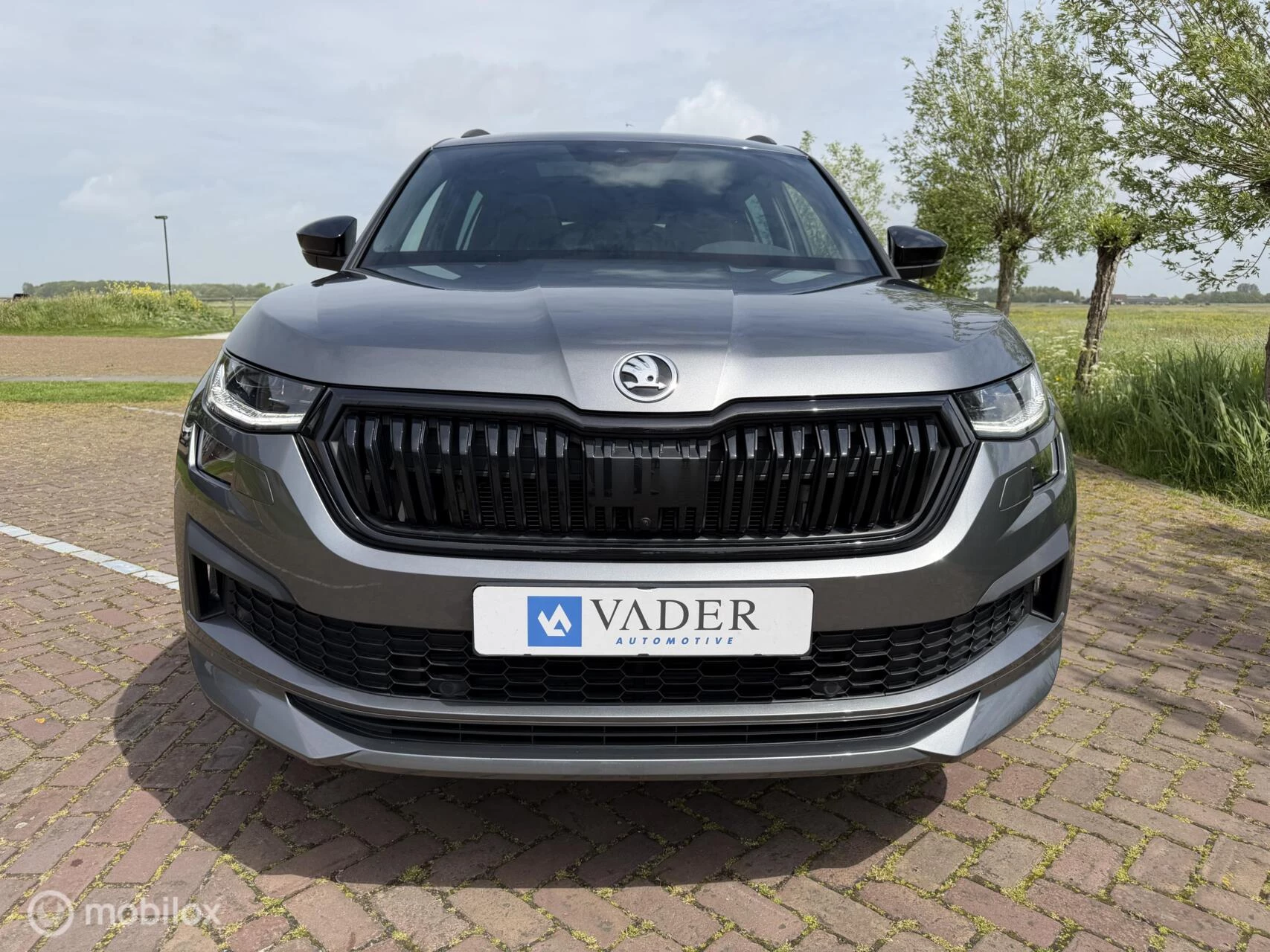 Hoofdafbeelding Škoda Kodiaq