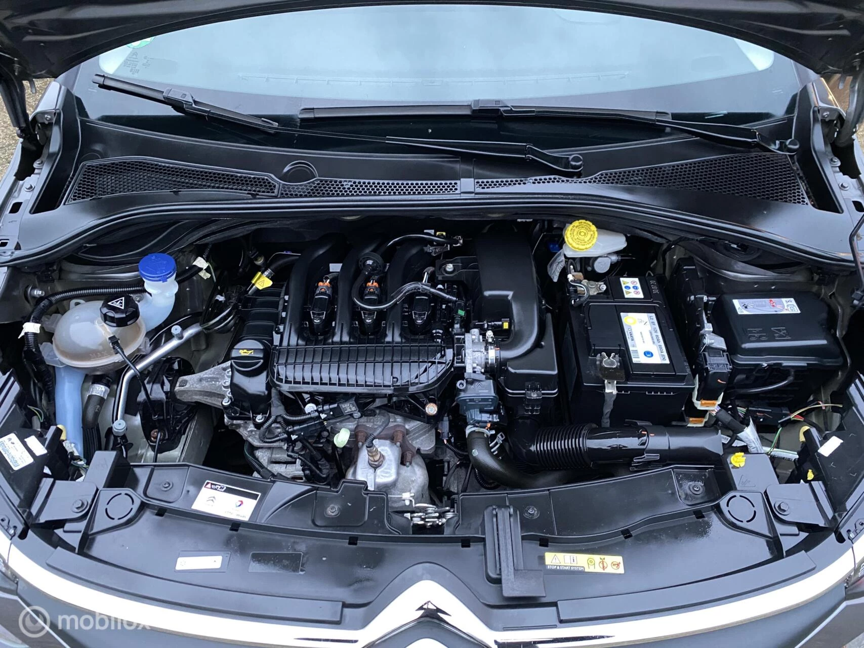 Hoofdafbeelding Citroën C3