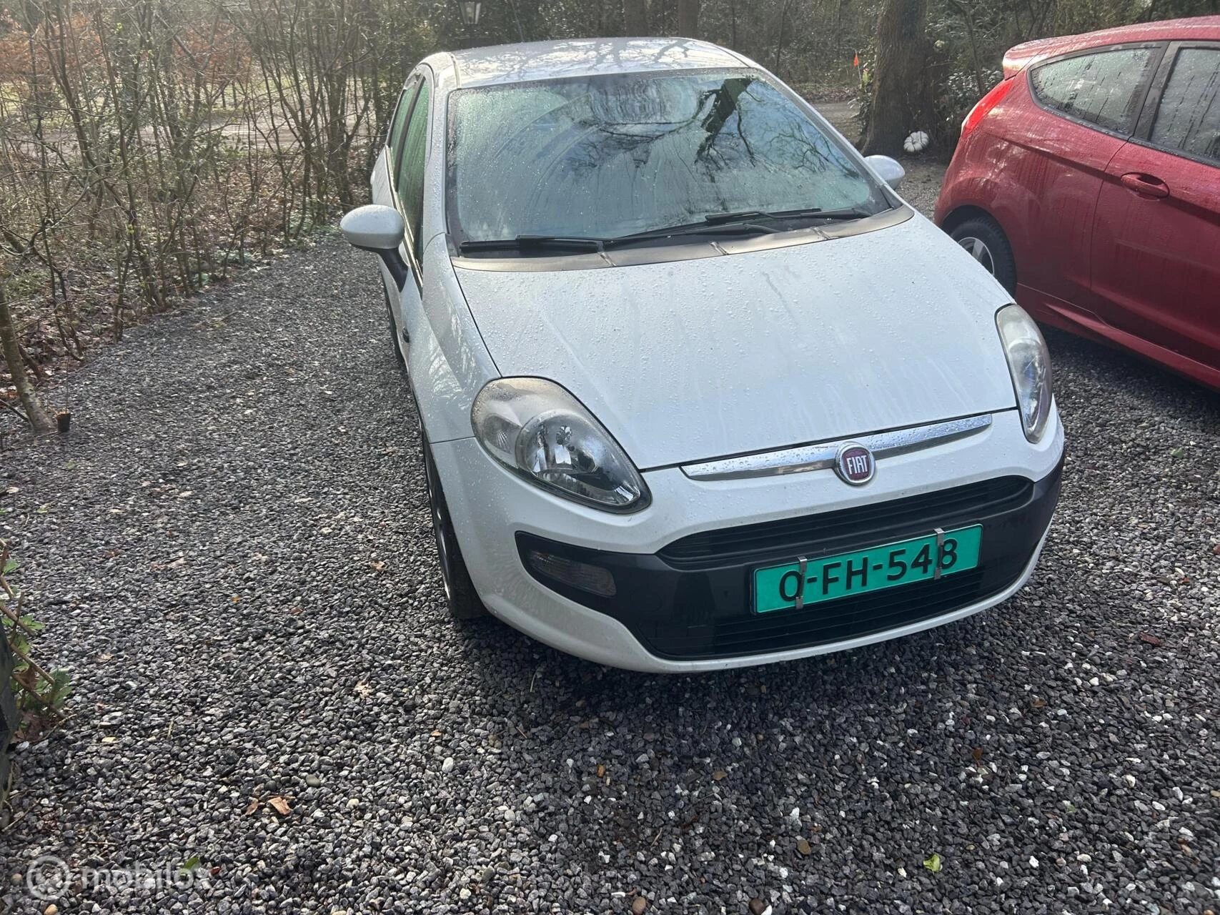 Hoofdafbeelding Fiat Punto