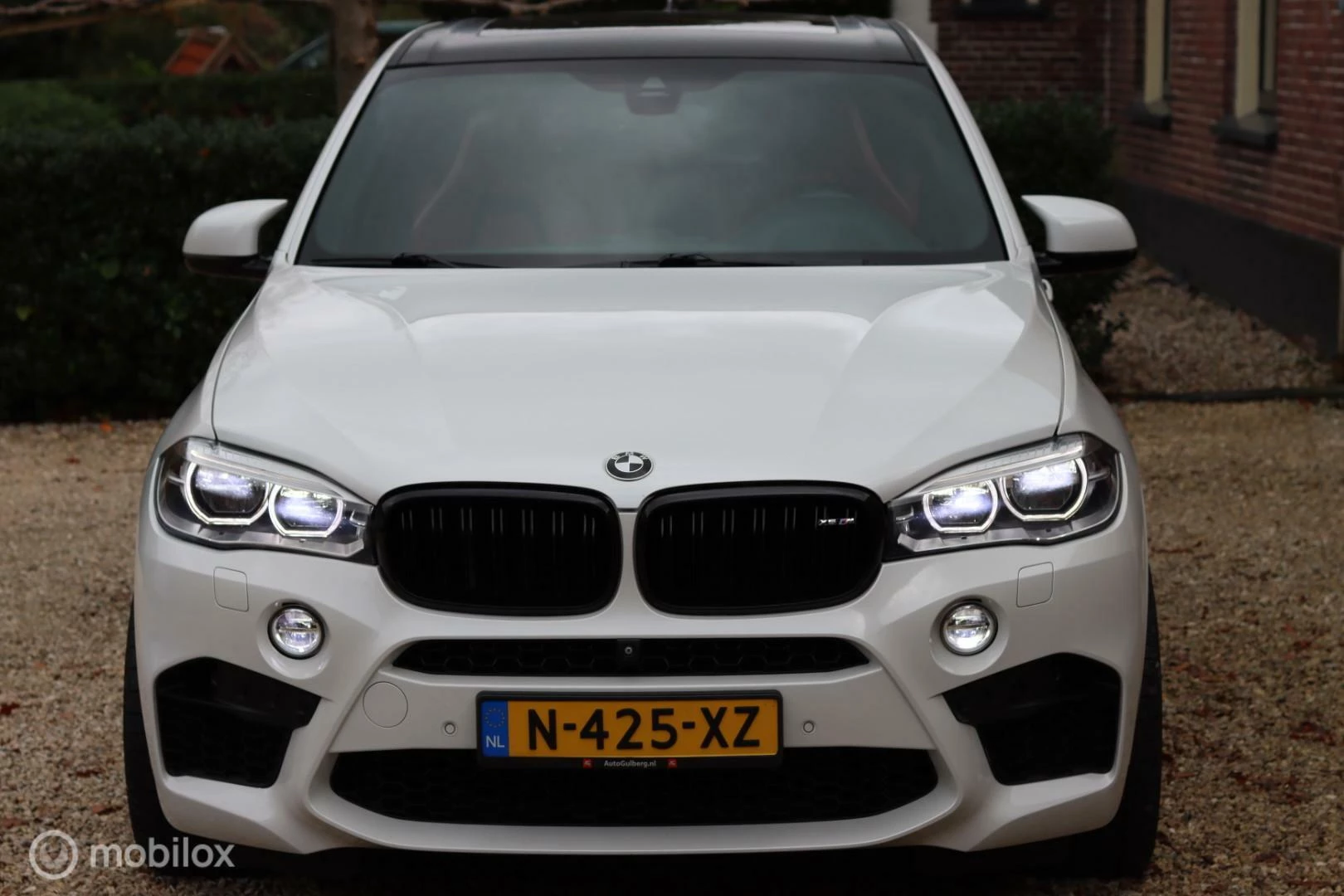 Hoofdafbeelding BMW X5