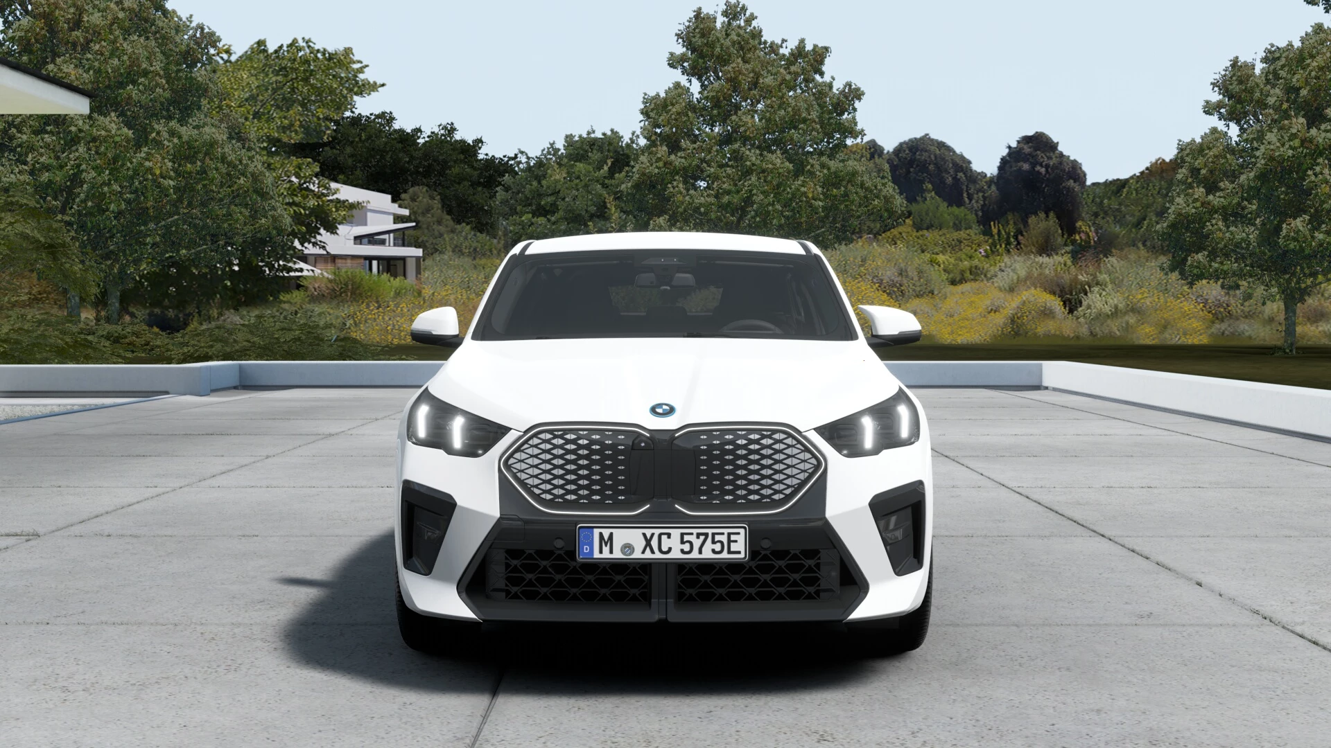 Hoofdafbeelding BMW iX2