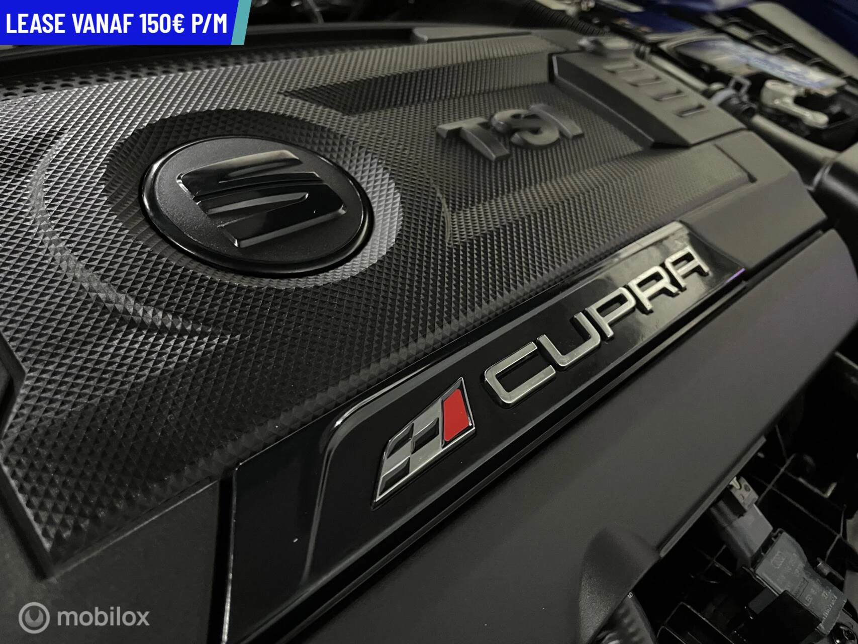 Hoofdafbeelding SEAT Cupra