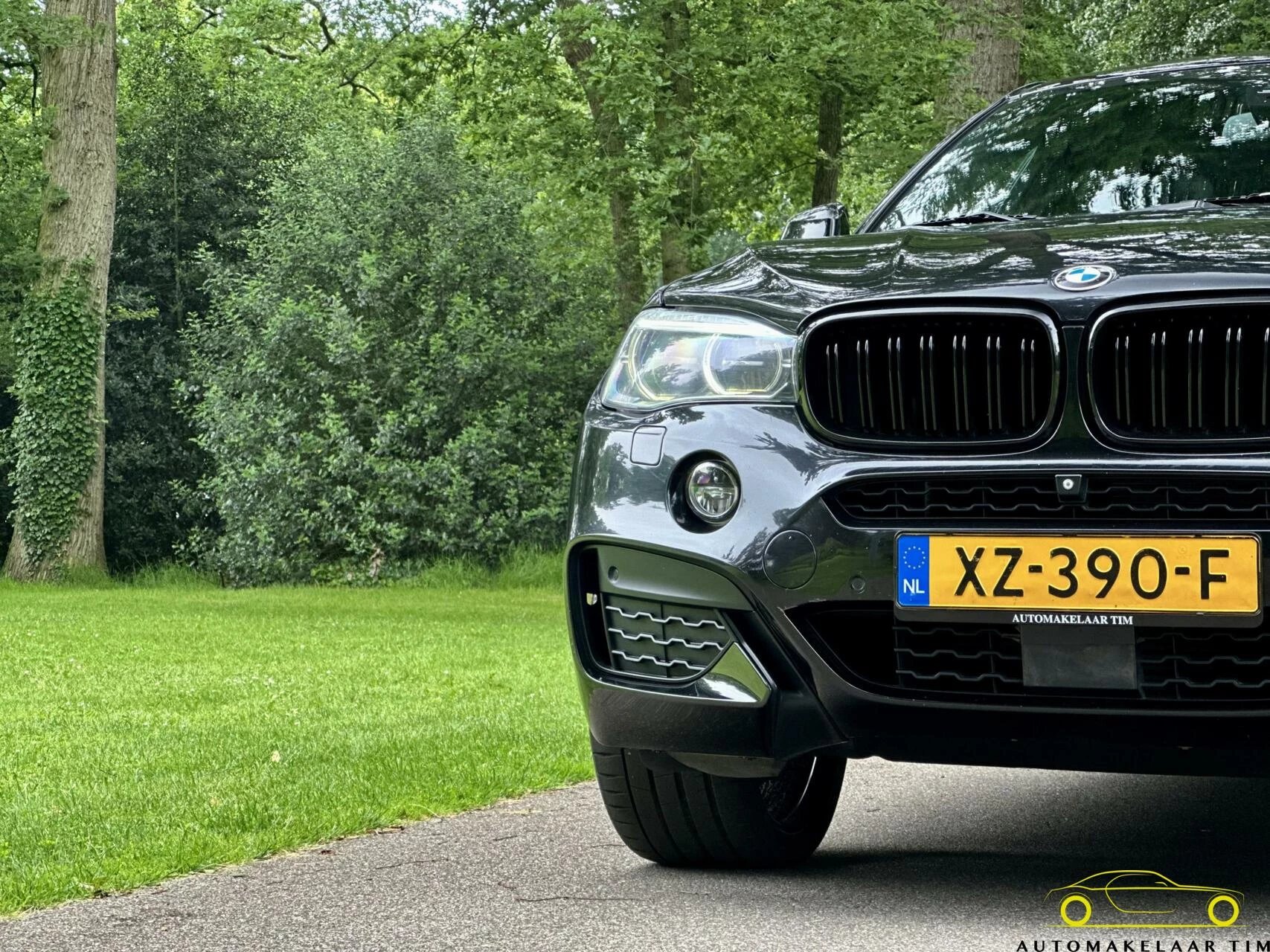 Hoofdafbeelding BMW X6