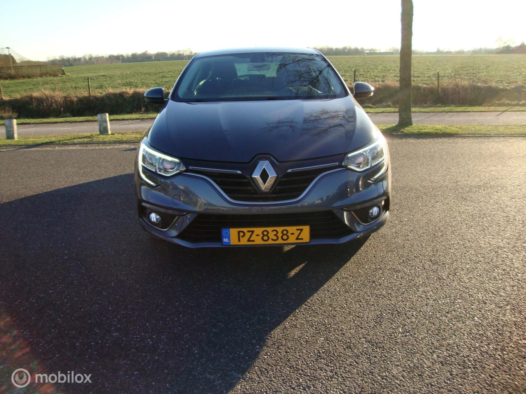 Hoofdafbeelding Renault Mégane