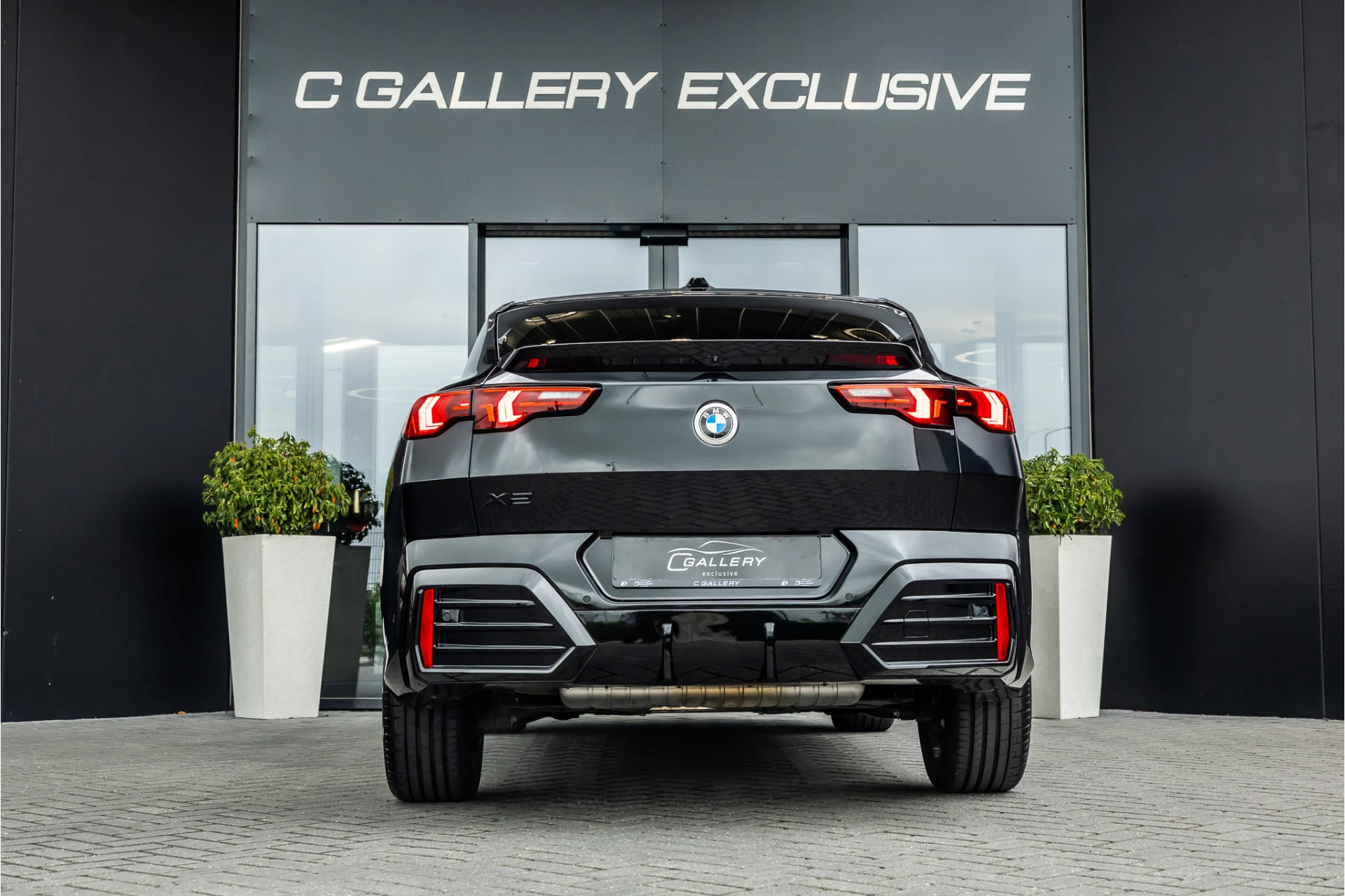 Hoofdafbeelding BMW X2