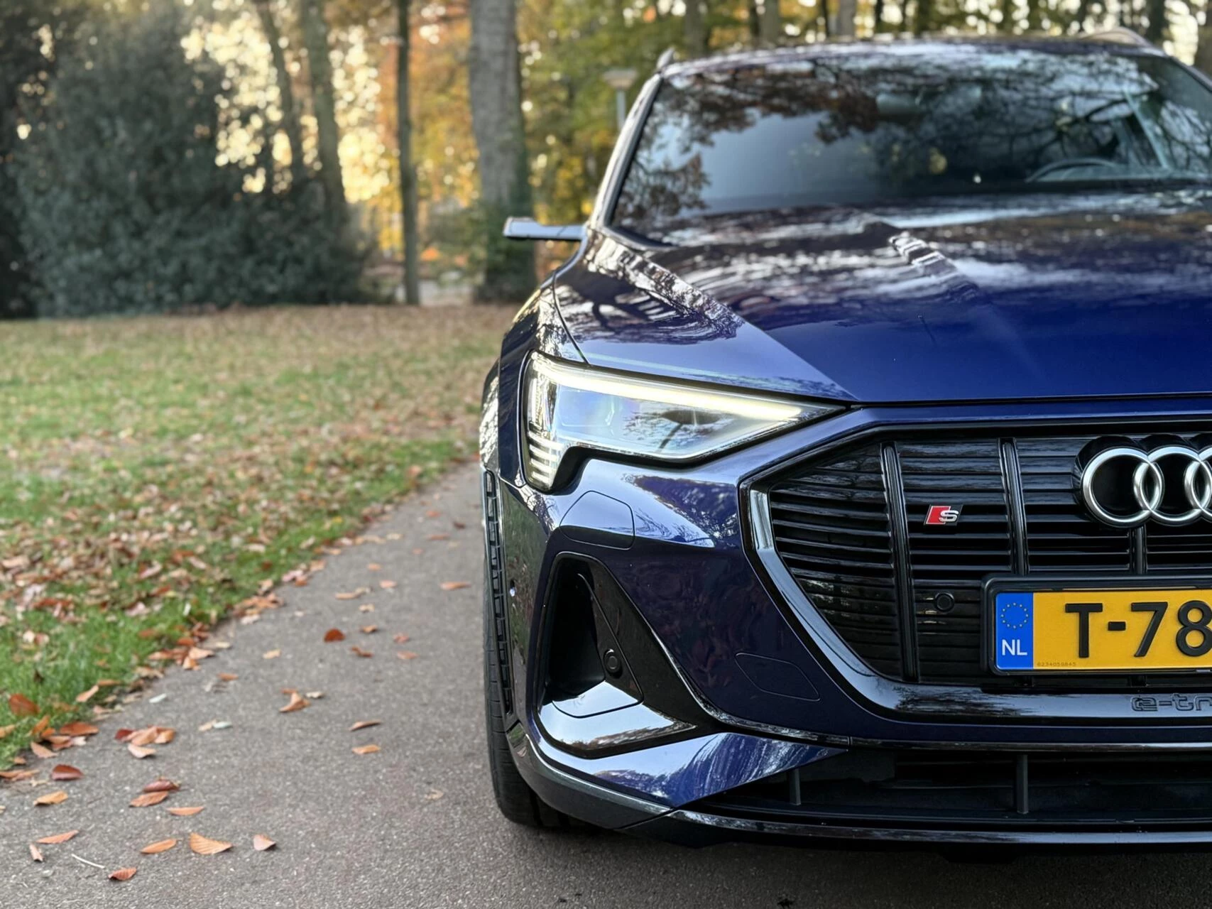 Hoofdafbeelding Audi e-tron