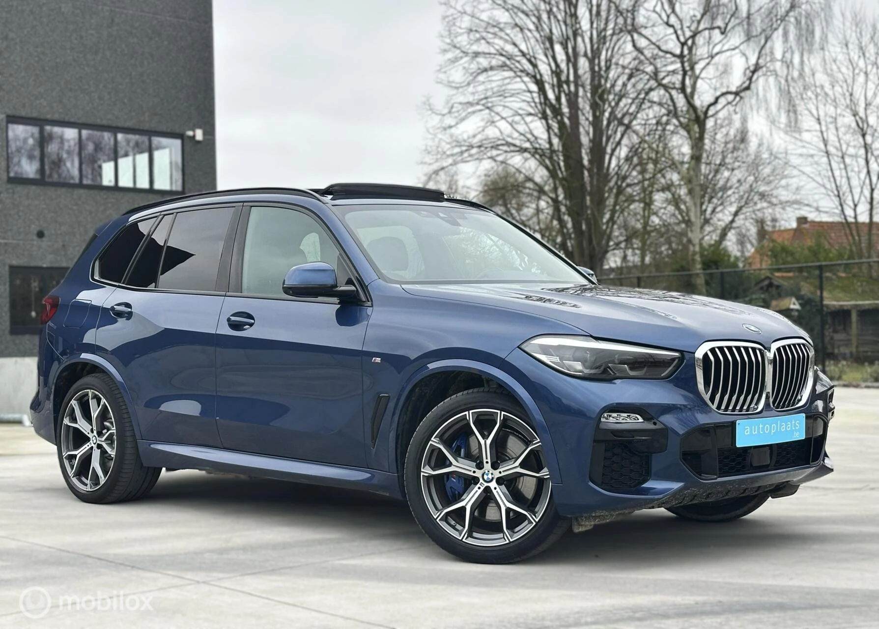 Hoofdafbeelding BMW X5