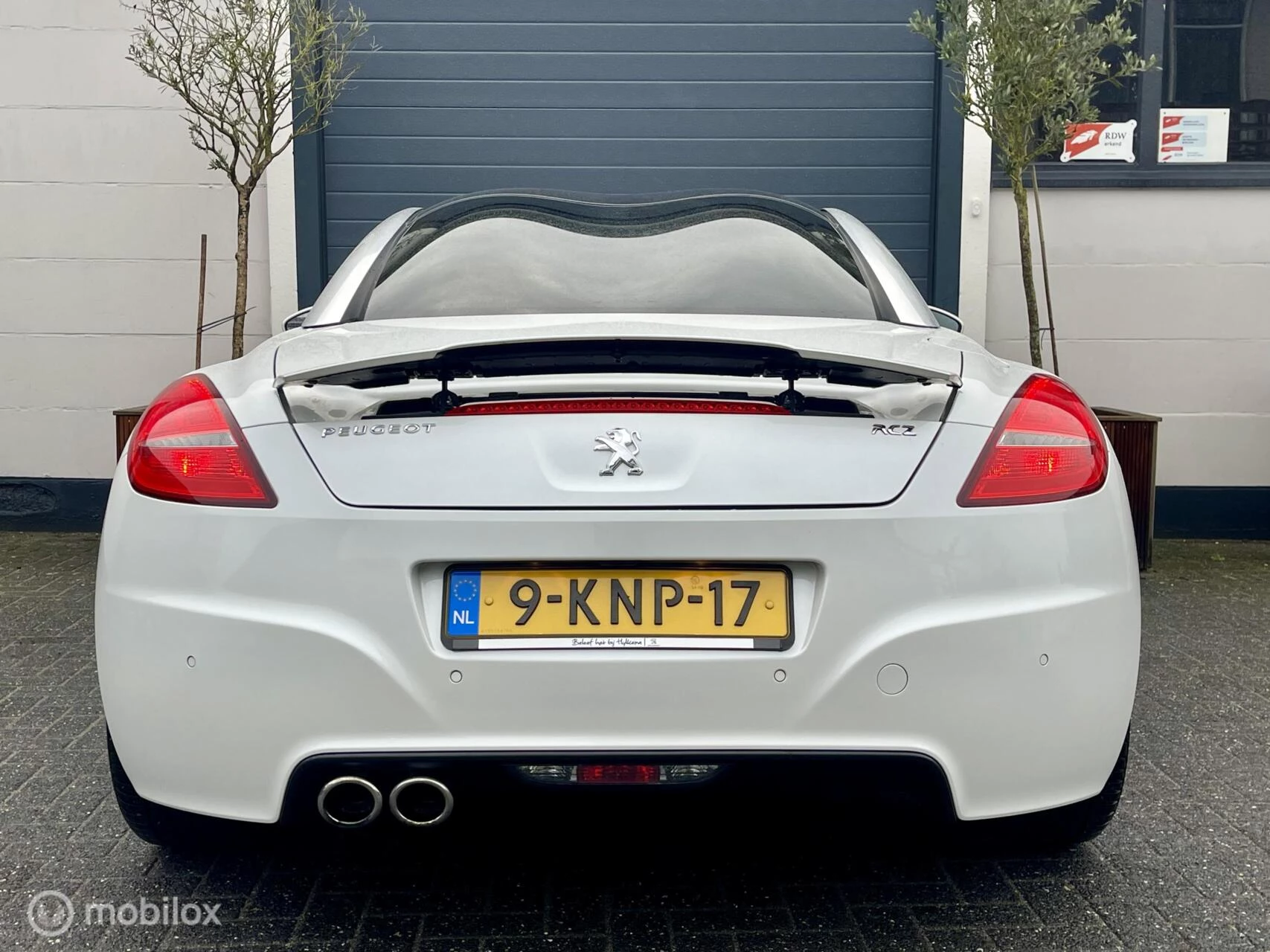 Hoofdafbeelding Peugeot RCZ