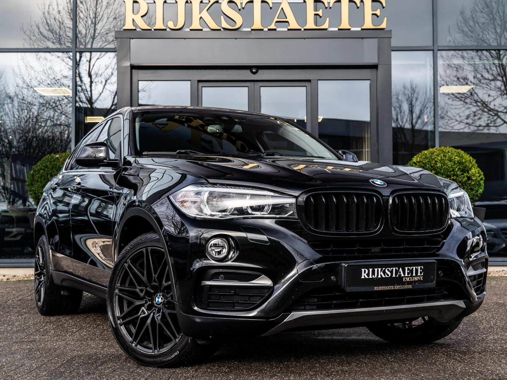 Hoofdafbeelding BMW X6