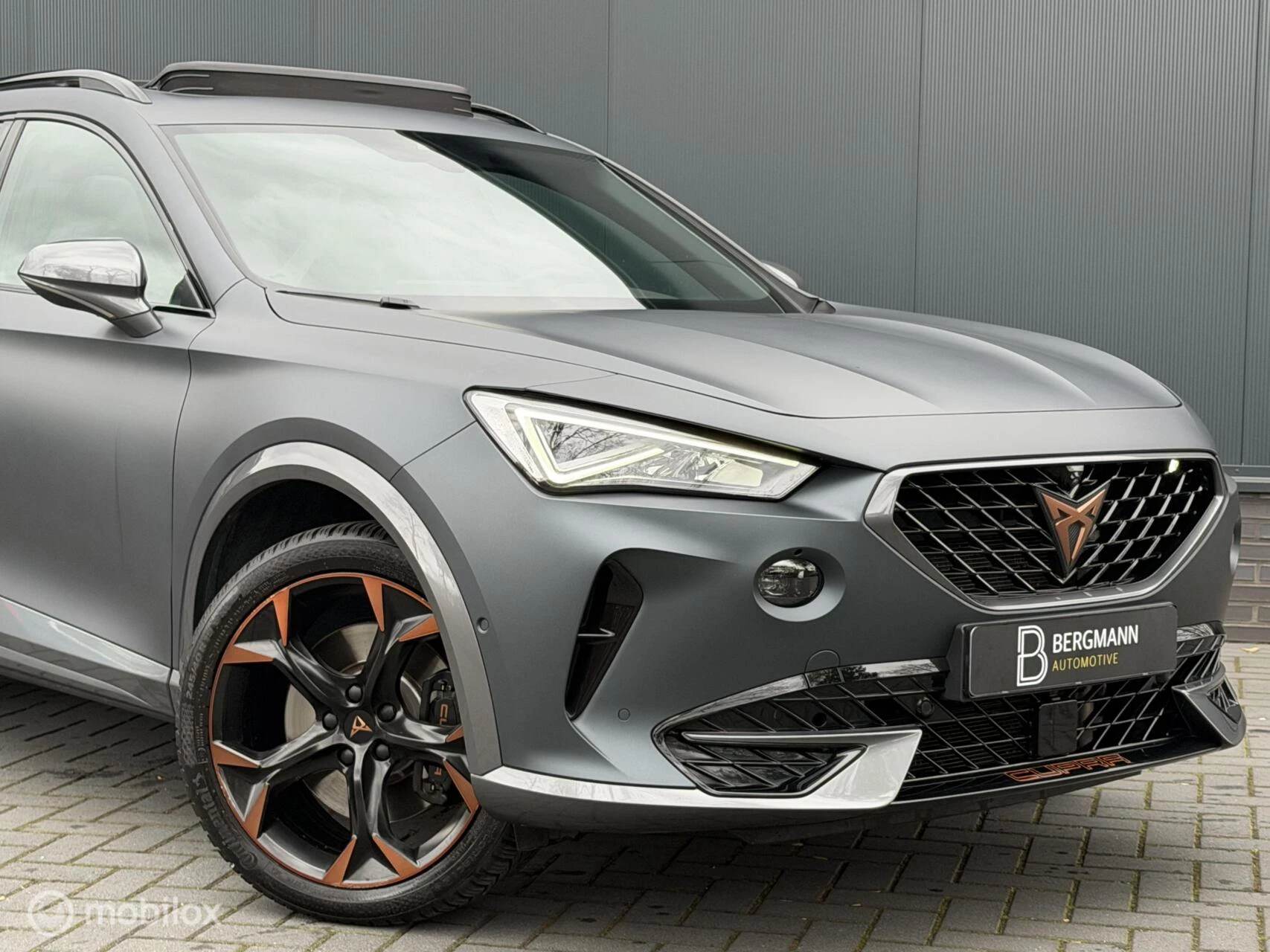 Hoofdafbeelding CUPRA Formentor