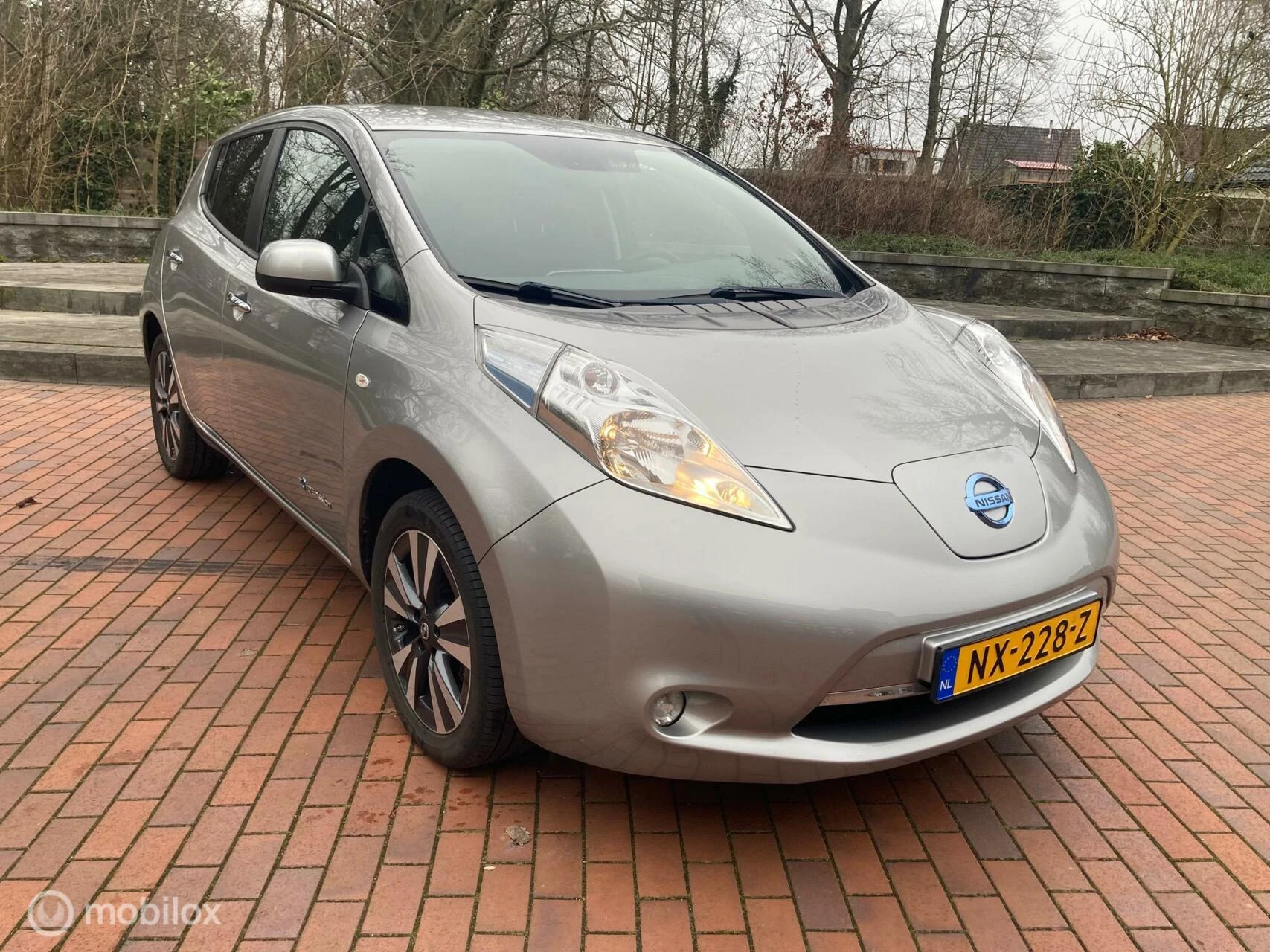 Hoofdafbeelding Nissan Leaf