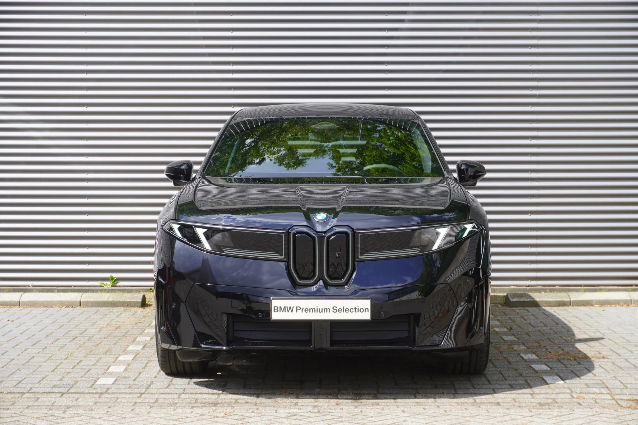 Hoofdafbeelding BMW iX3