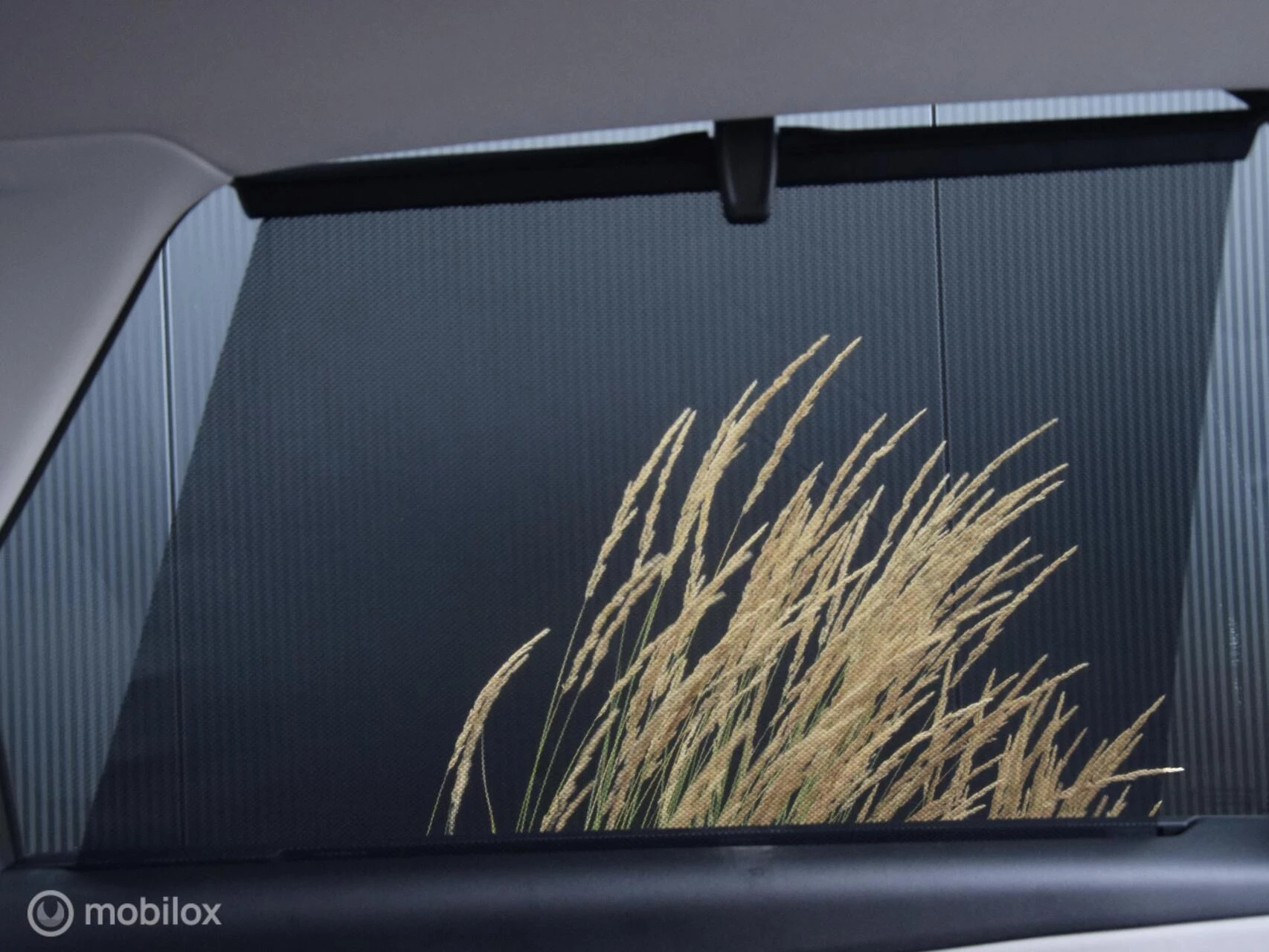Hoofdafbeelding Citroën C4 Spacetourer