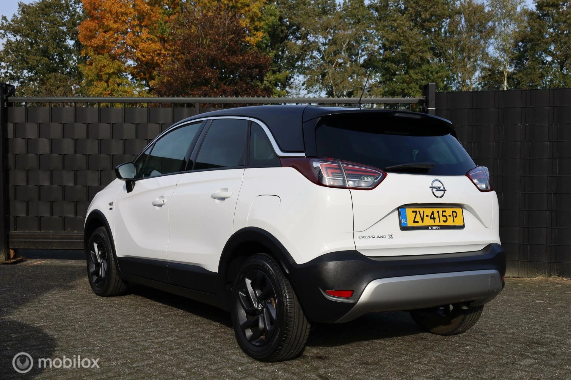 Hoofdafbeelding Opel Crossland X