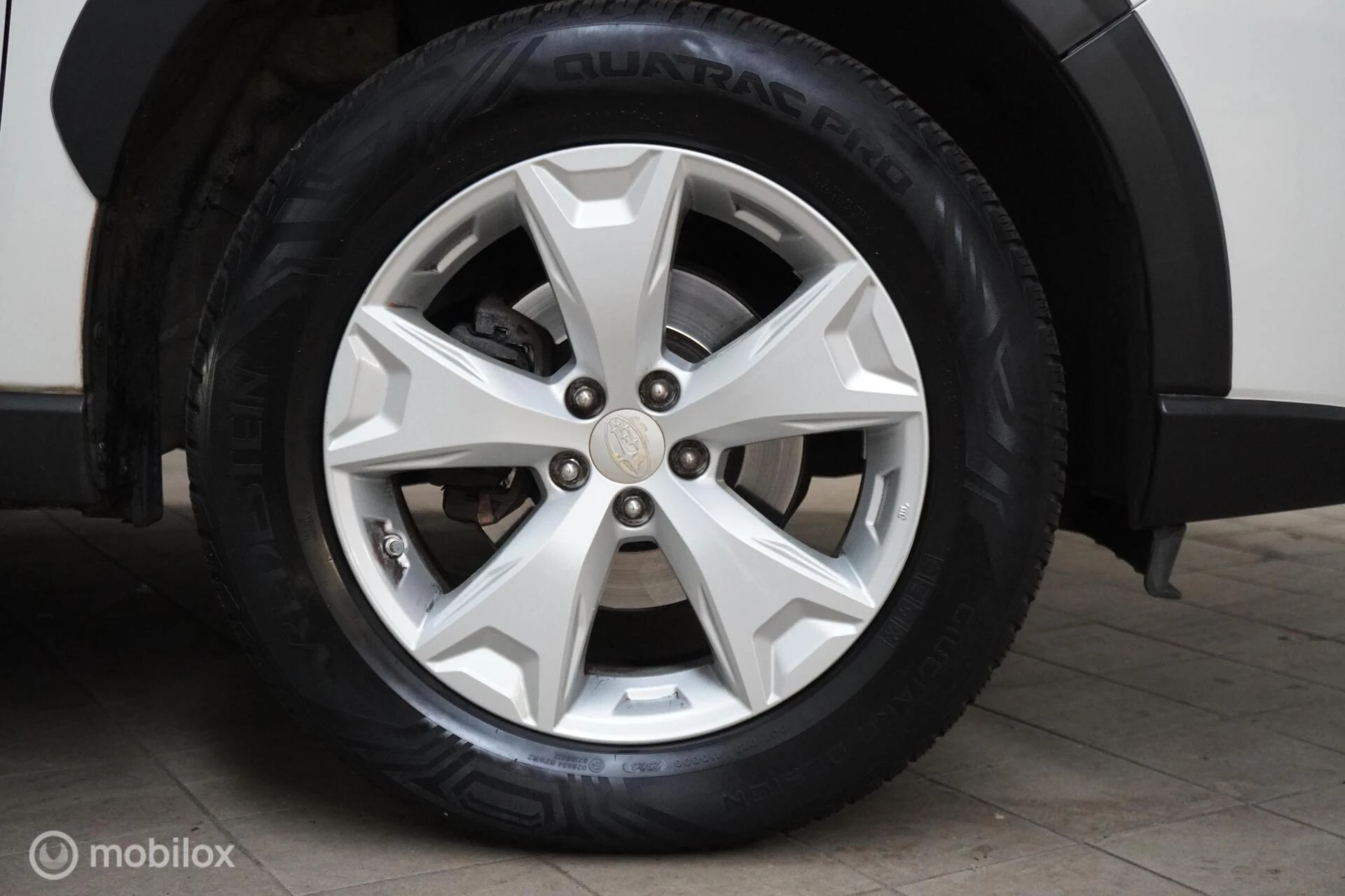 Hoofdafbeelding Subaru Forester