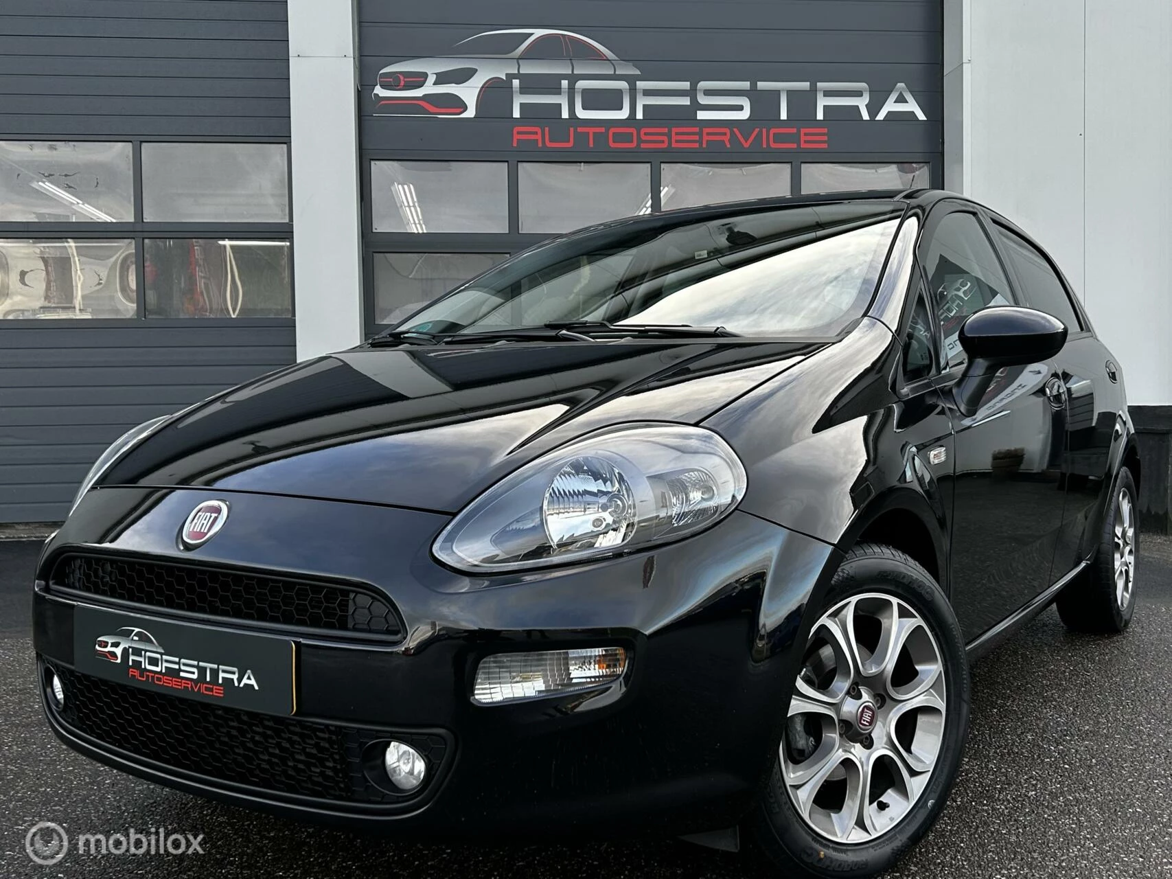 Hoofdafbeelding Fiat Punto