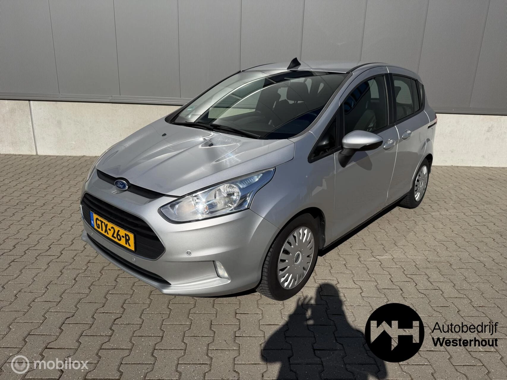 Hoofdafbeelding Ford B-MAX