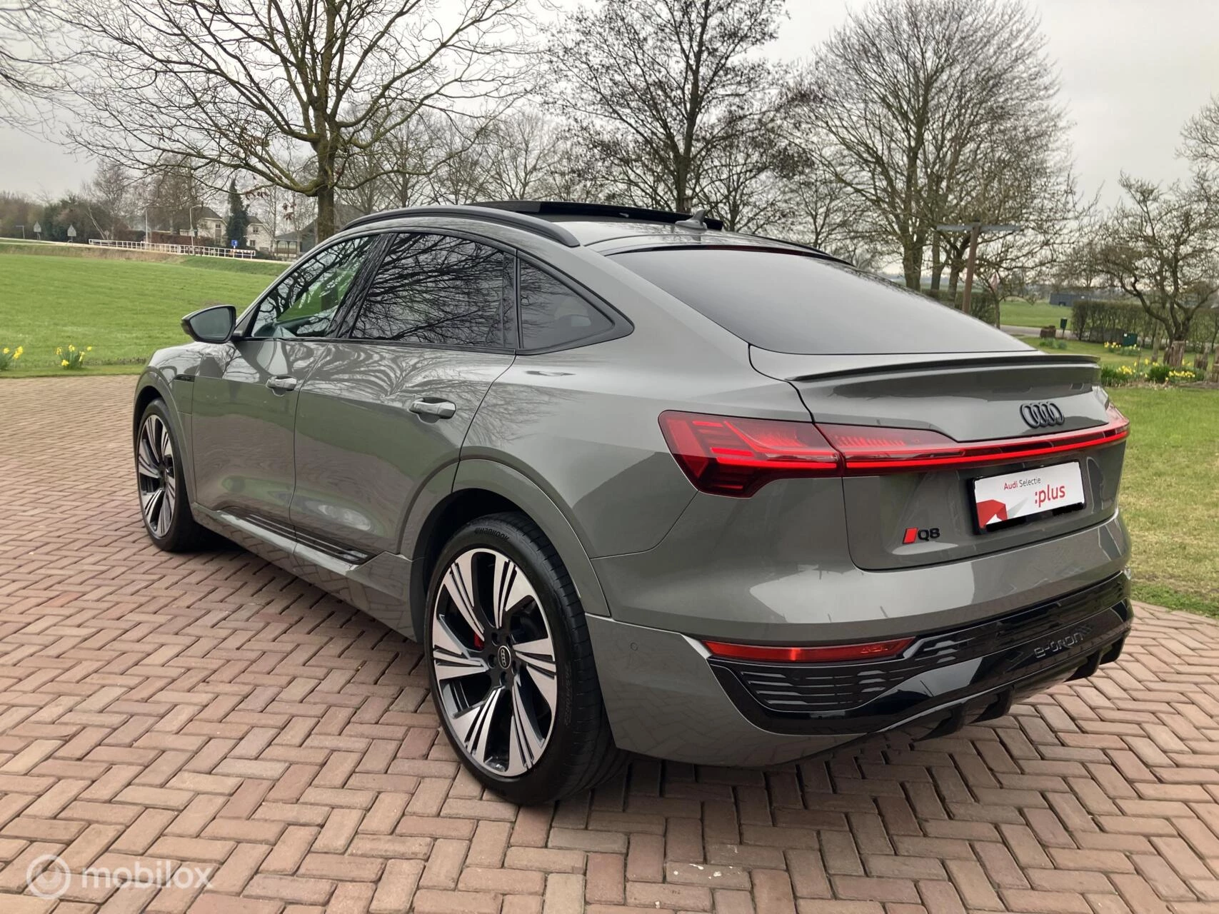 Hoofdafbeelding Audi Q8 Sportback e-tron