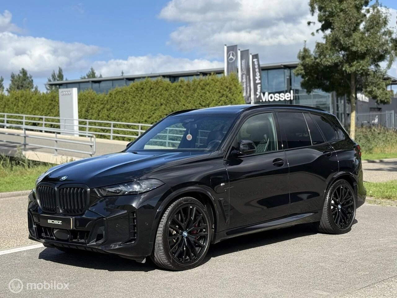 Hoofdafbeelding BMW X5