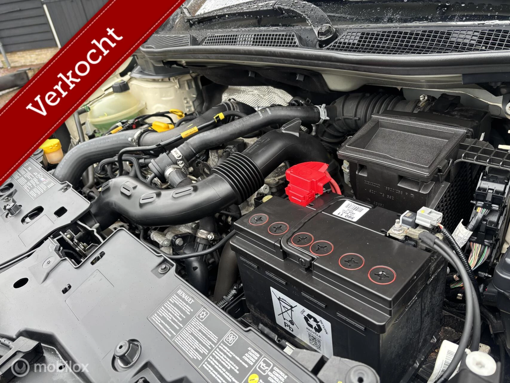 Hoofdafbeelding Renault Captur