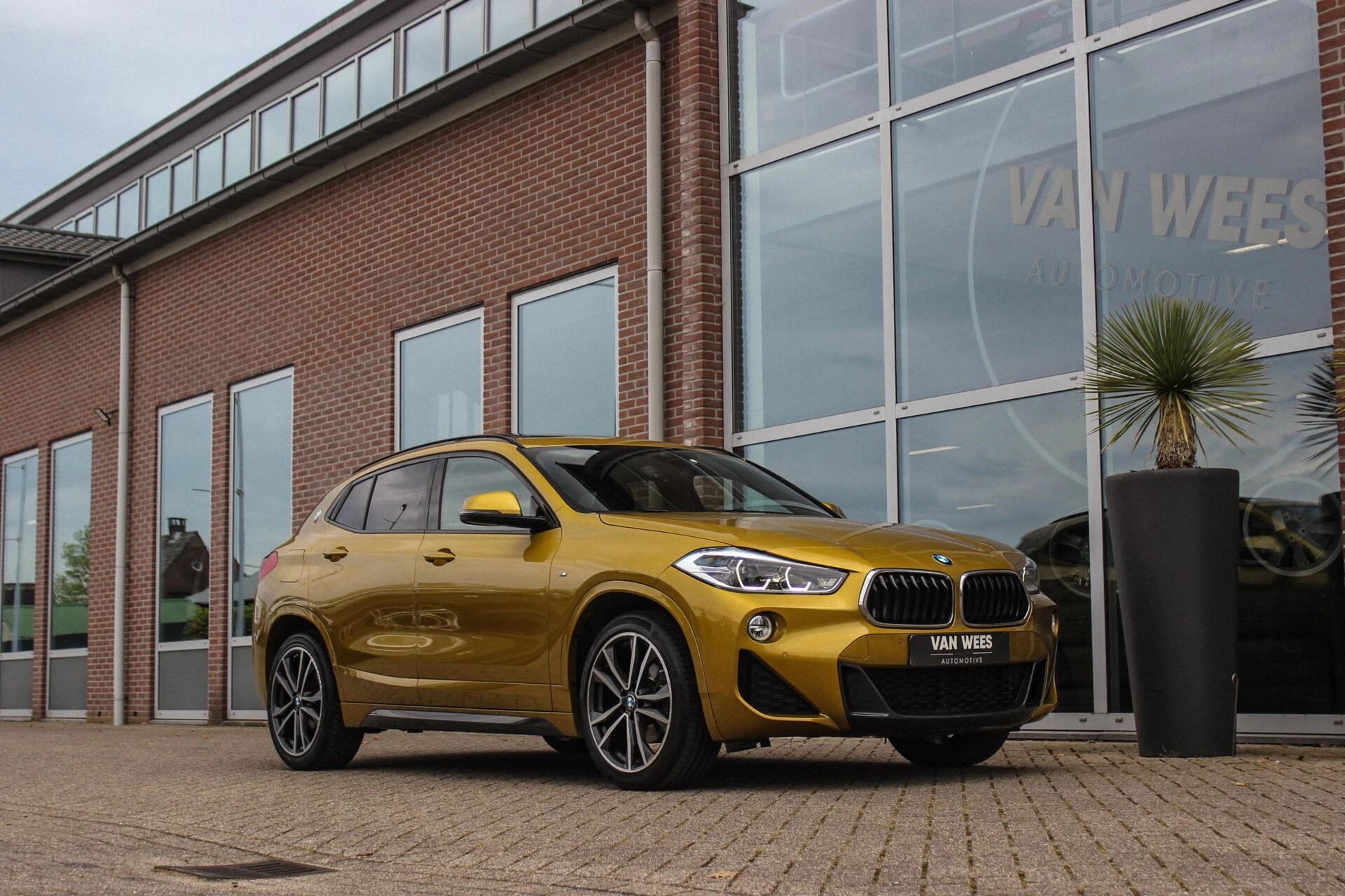 Hoofdafbeelding BMW X2