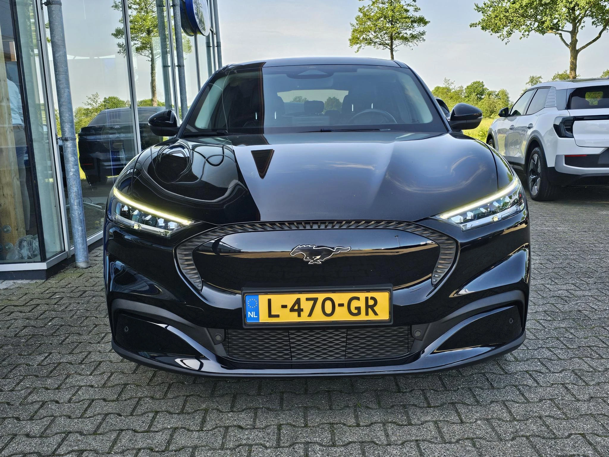 Hoofdafbeelding Ford Mustang Mach-E