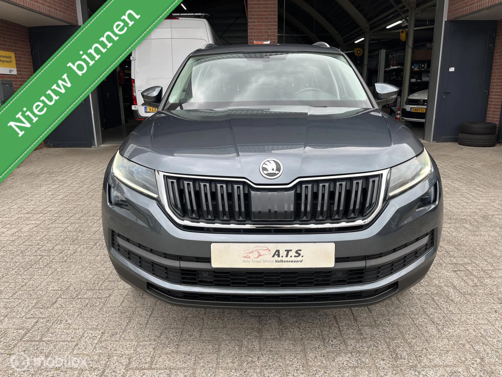 Hoofdafbeelding Škoda Kodiaq