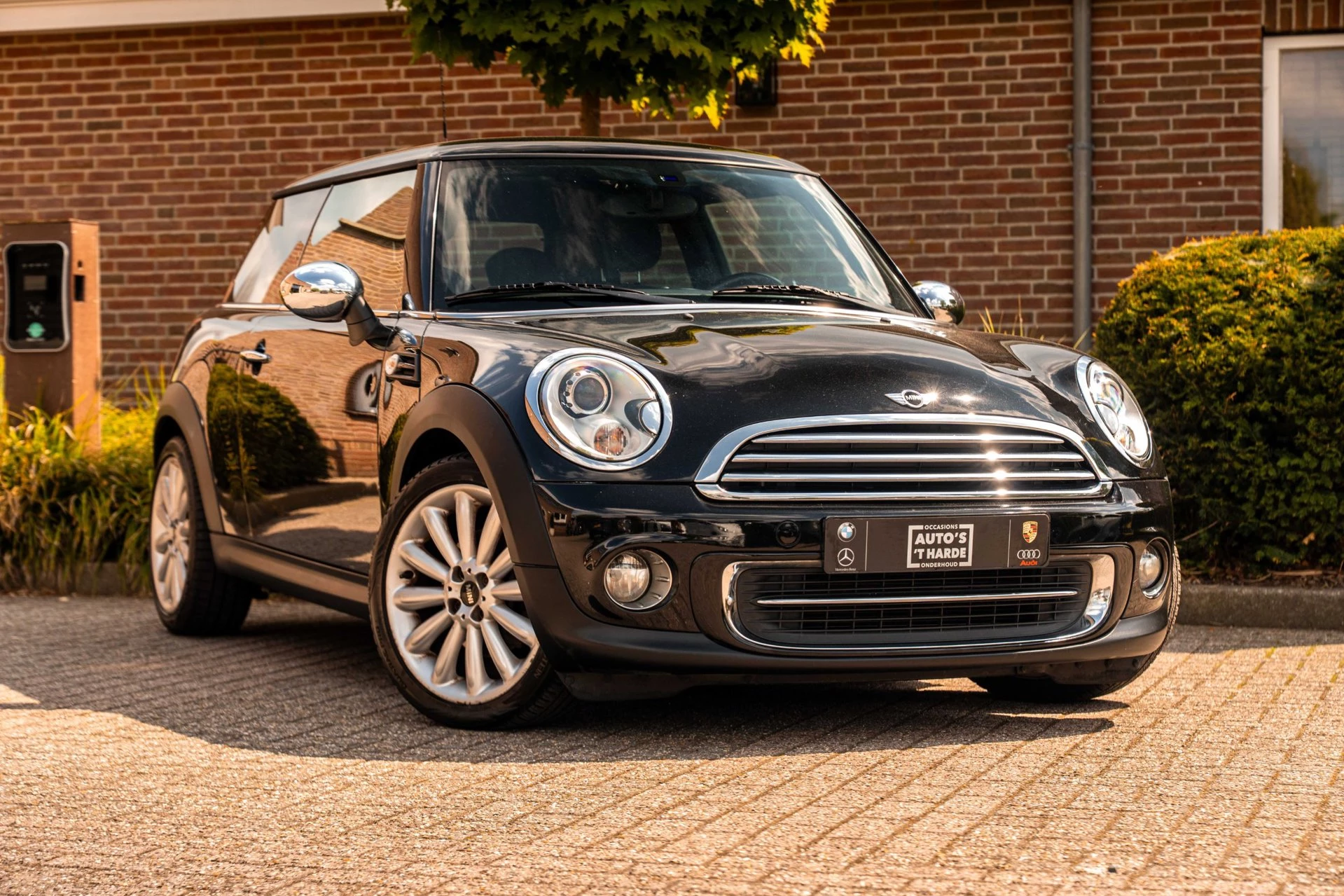 Hoofdafbeelding MINI Cooper