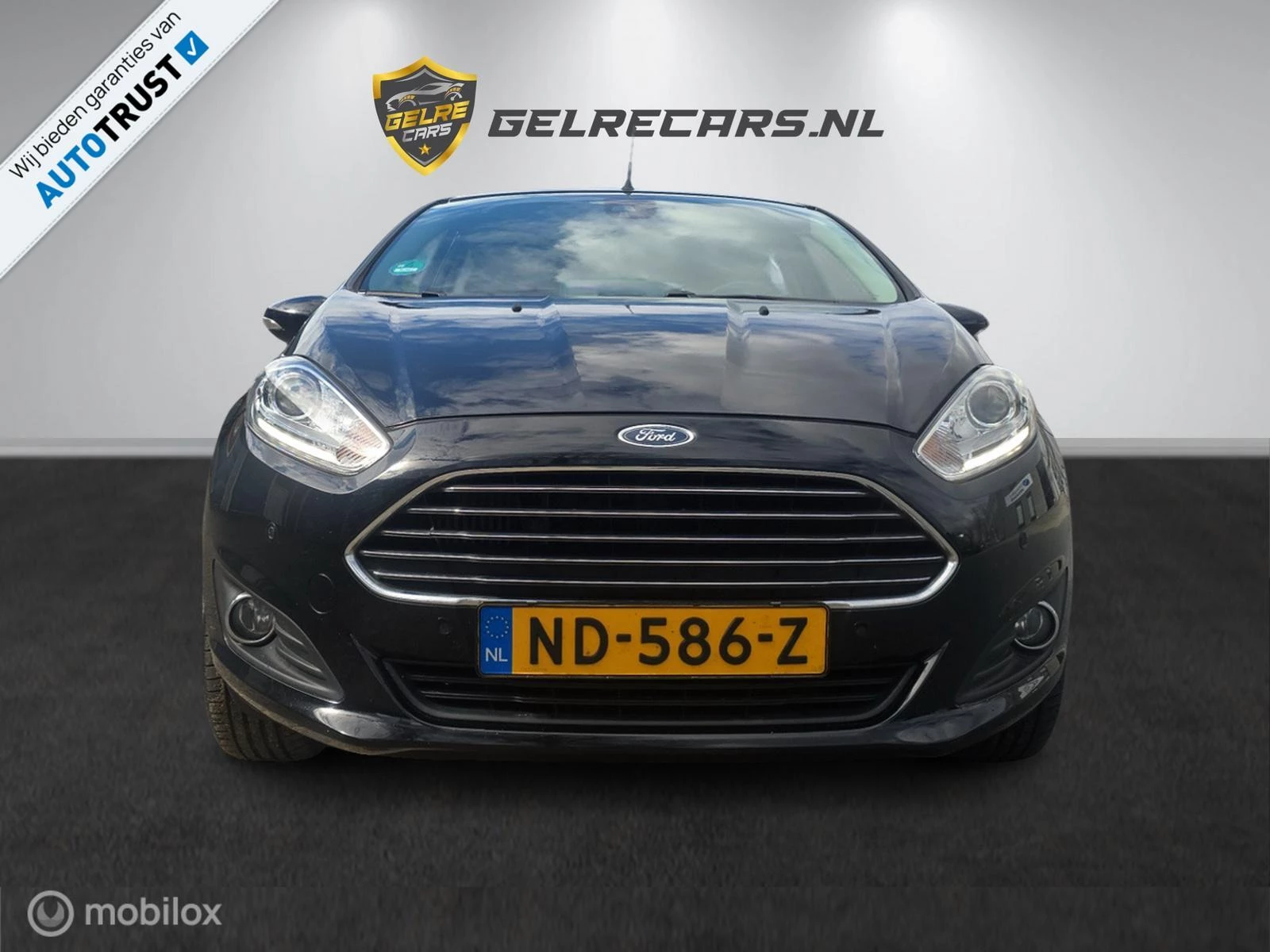 Hoofdafbeelding Ford Fiesta