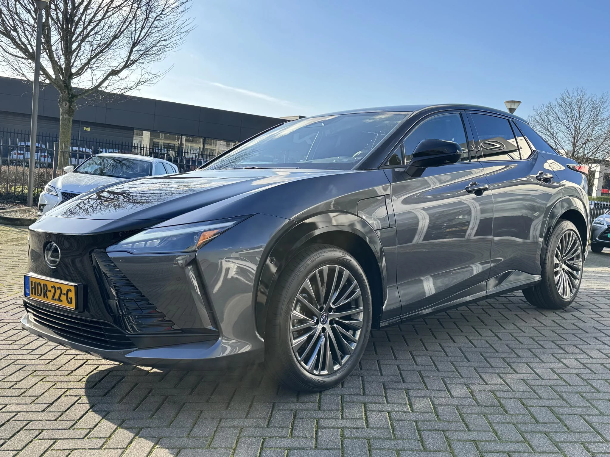 Hoofdafbeelding Lexus RZ