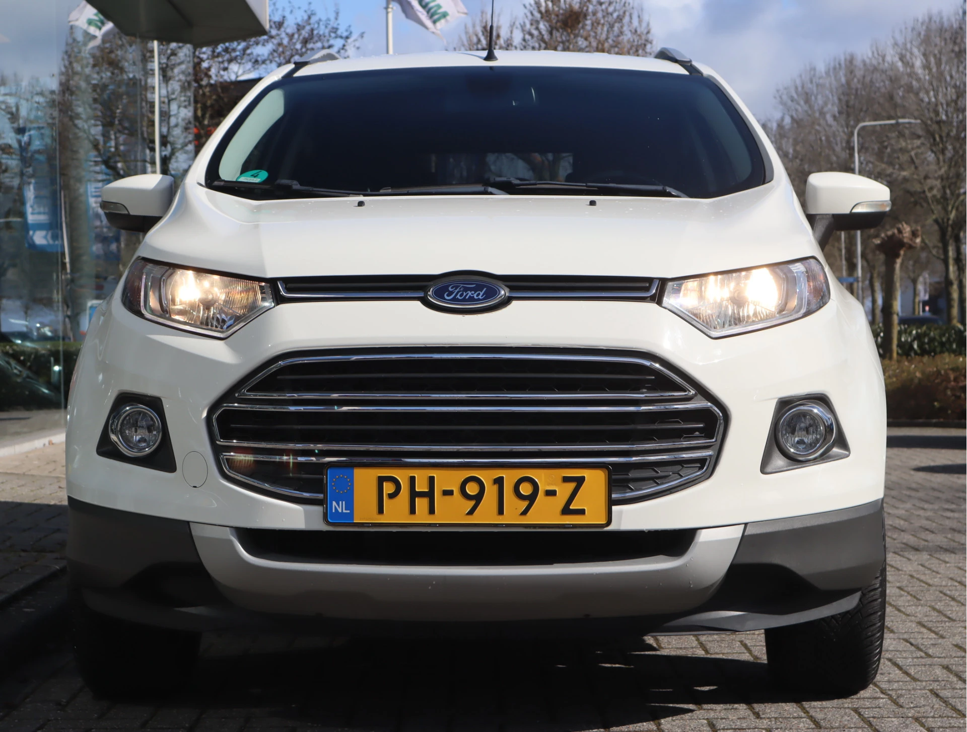 Hoofdafbeelding Ford EcoSport