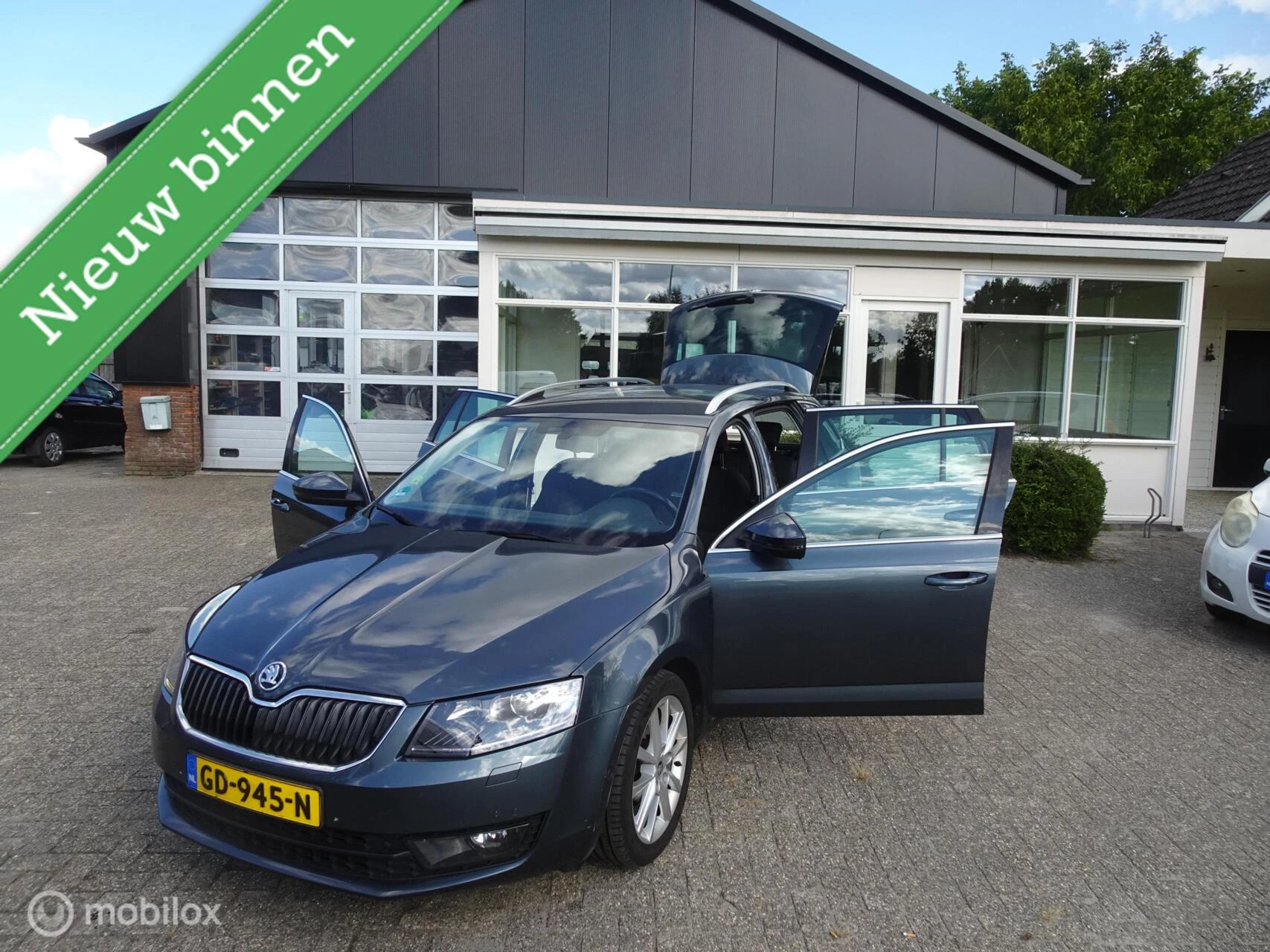 Hoofdafbeelding Škoda Octavia